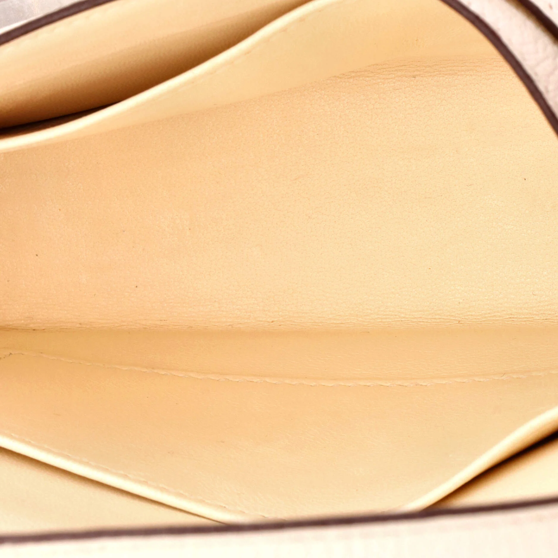Verrou Bag Chevre Mysore and Canvas Mini - Image 5