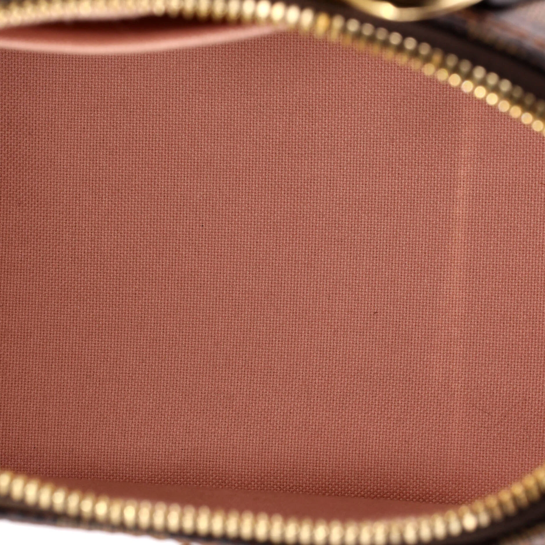 Alma Handbag Damier with Braided Detail BB - Image 5