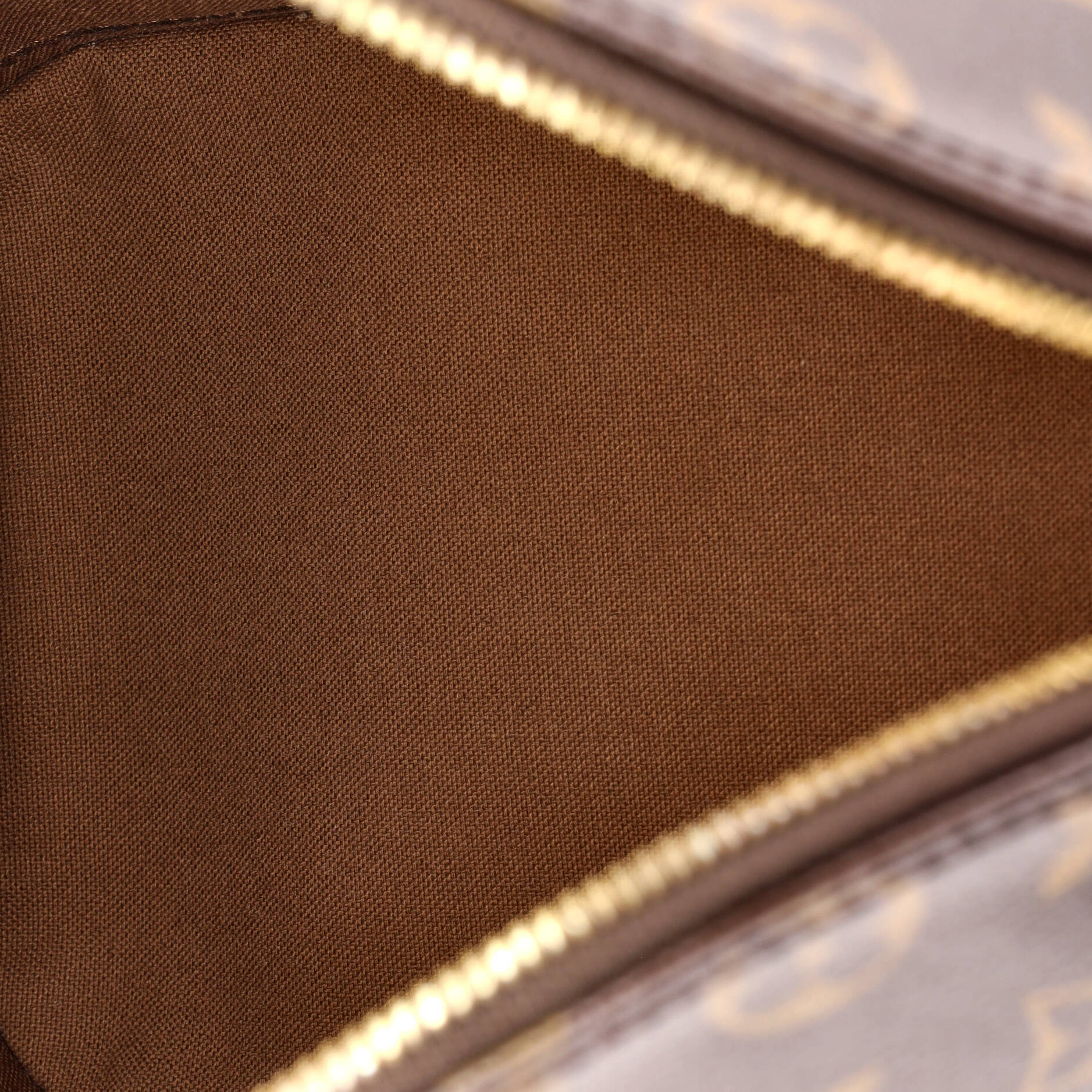 Alma Handbag Monogram Canvas PM - Image 5
