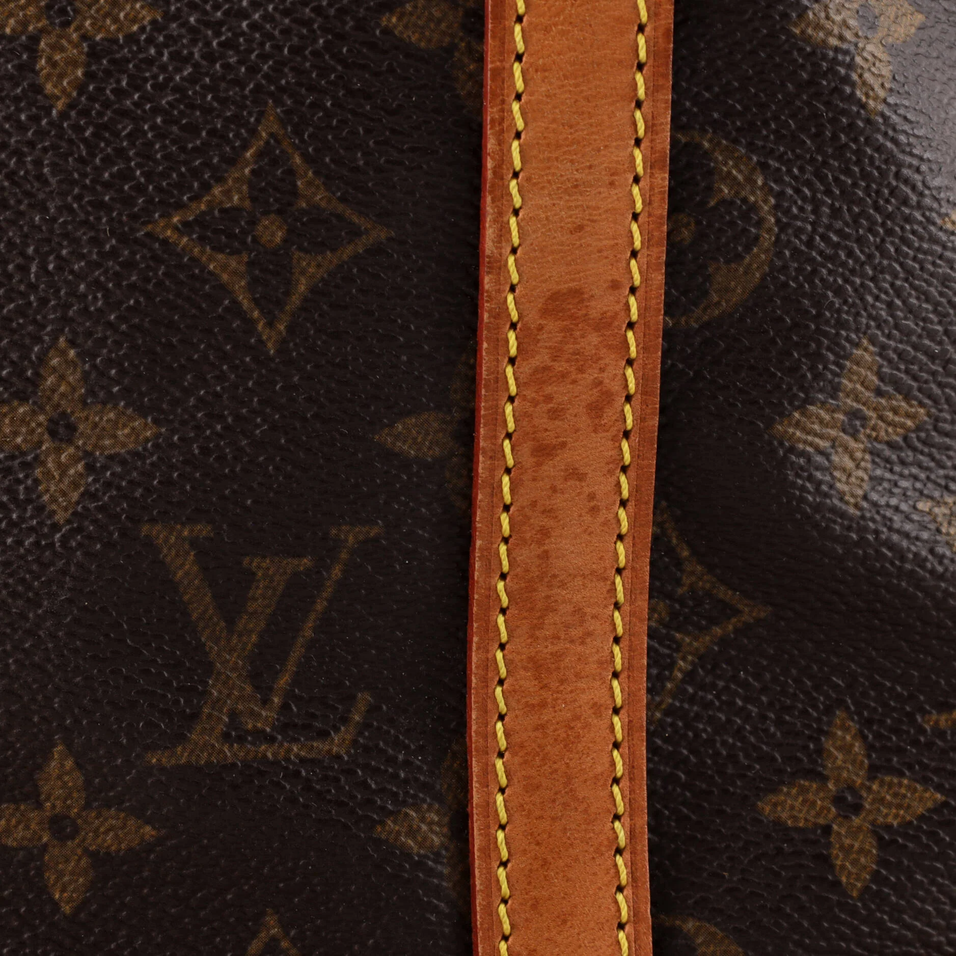 Bucket Bag Monogram Canvas GM - Image 6