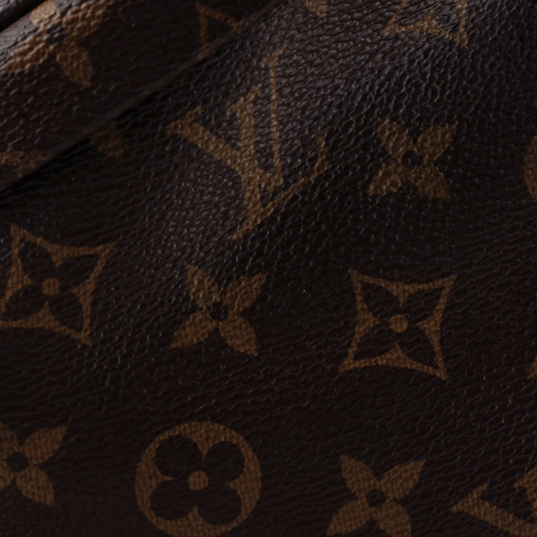 Bum Bag Monogram Canvas - Image 6