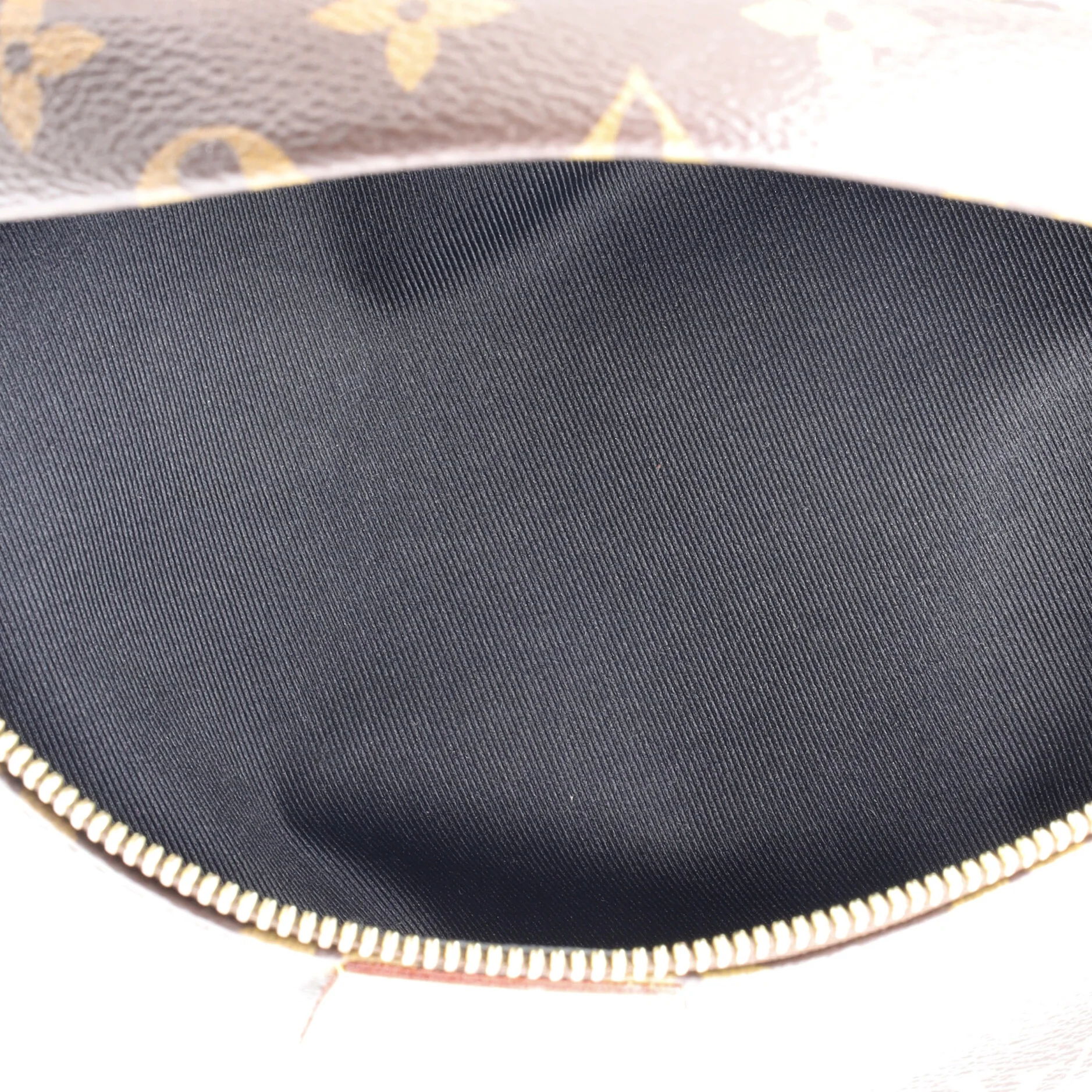 Bum Bag Monogram Canvas - Image 5