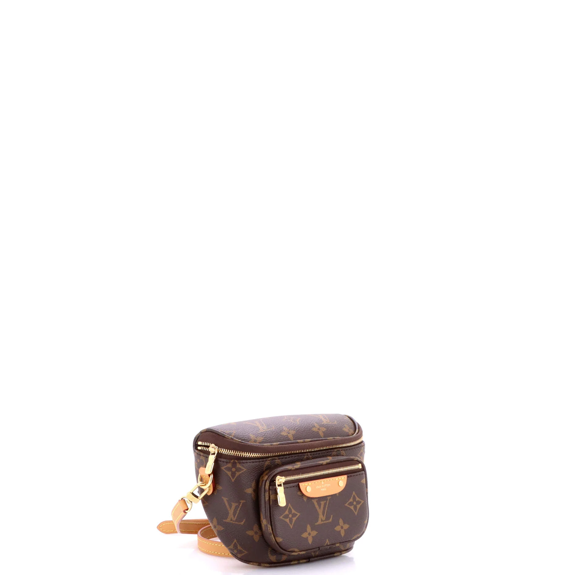 Bum Bag Monogram Canvas Mini - Image 2