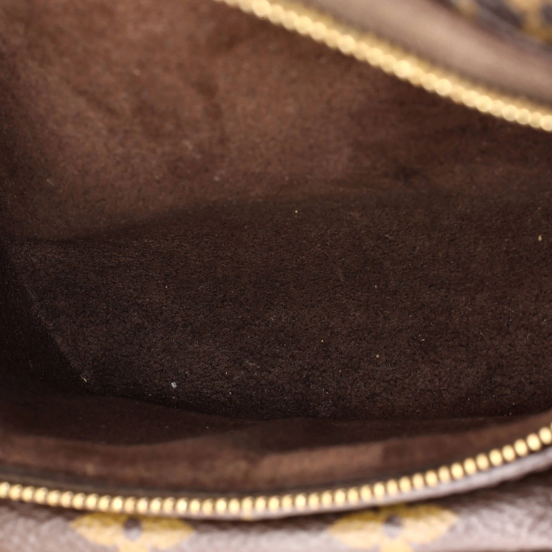 Bum Bag Monogram Canvas Mini - Image 5