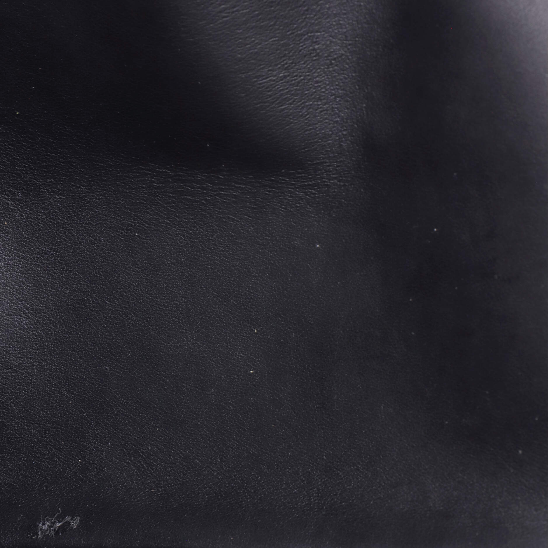 Capucines Souple Bag Leather GM - Image 5