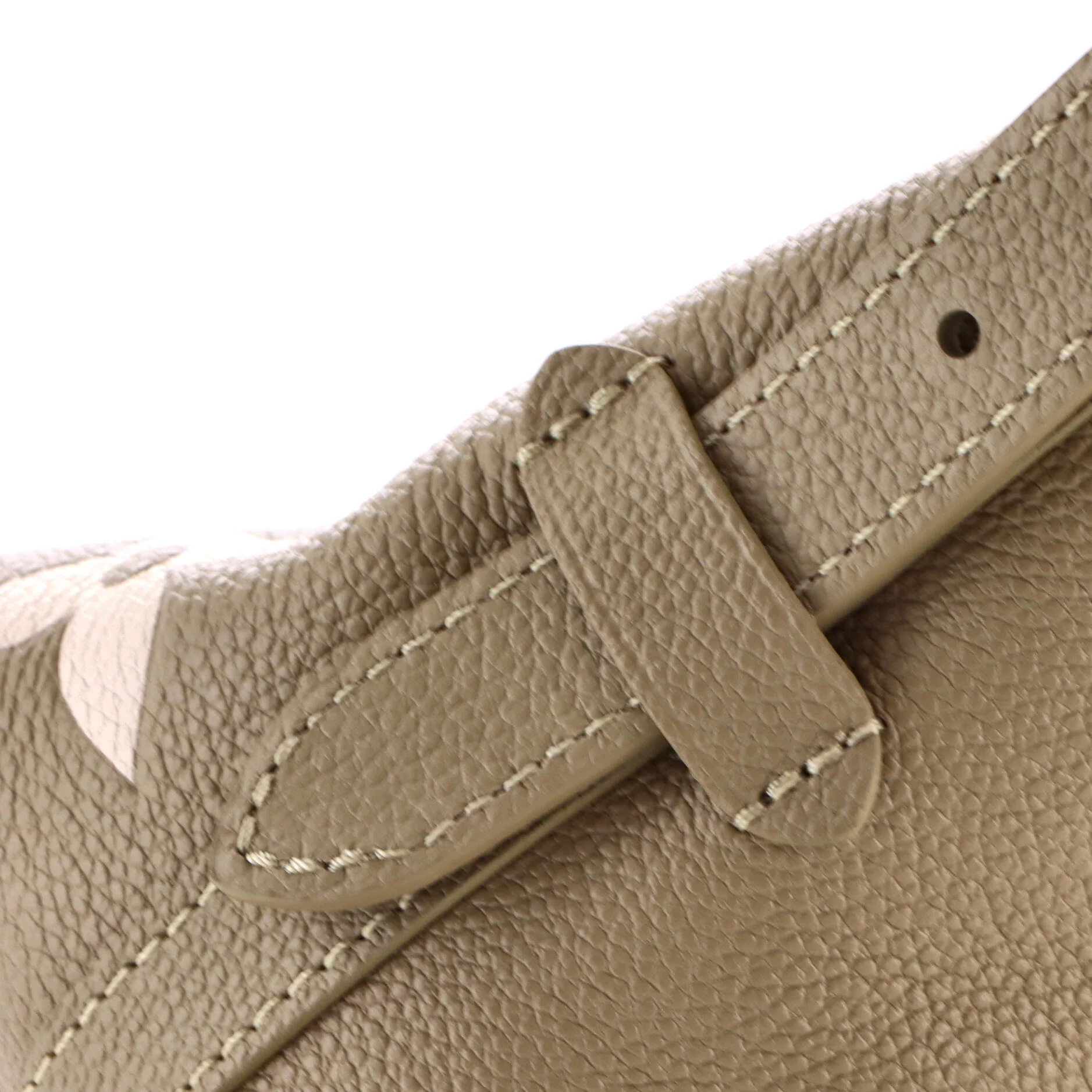 CarryAll Hobo Bicolor Monogram Empreinte Giant PM - Image 7