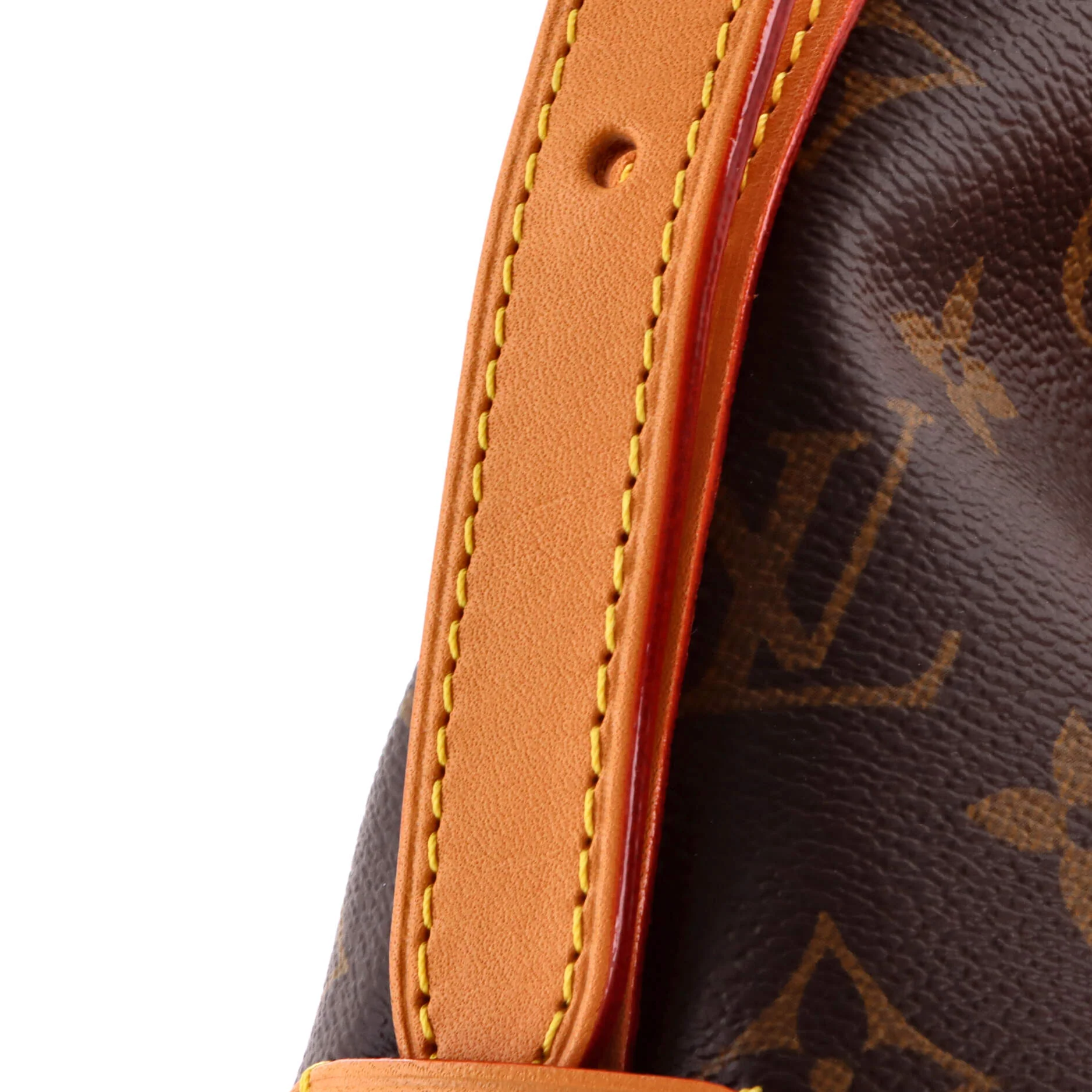 CarryAll Hobo Monogram Canvas PM - Image 6
