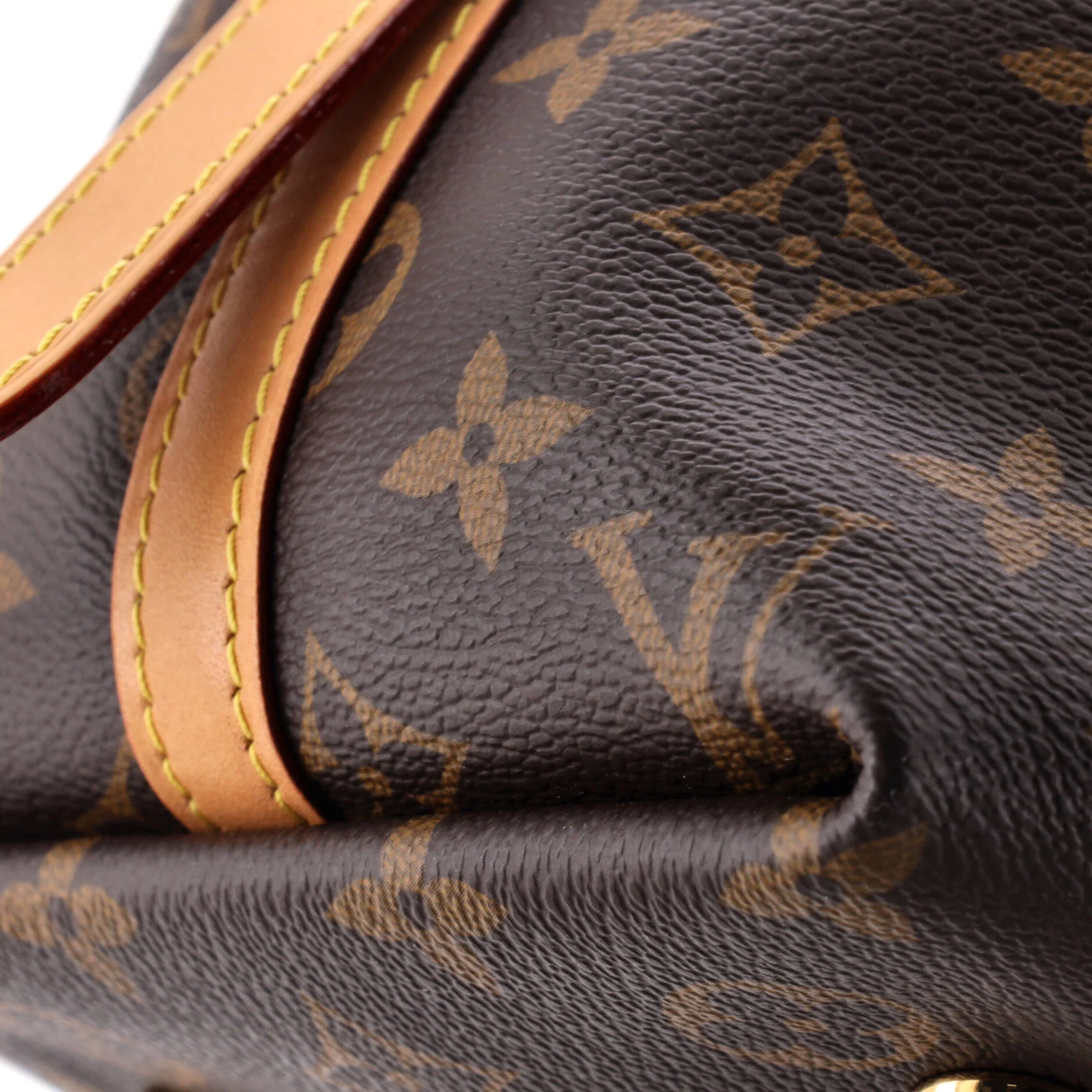 CarryAll Hobo Monogram Canvas PM - Image 7