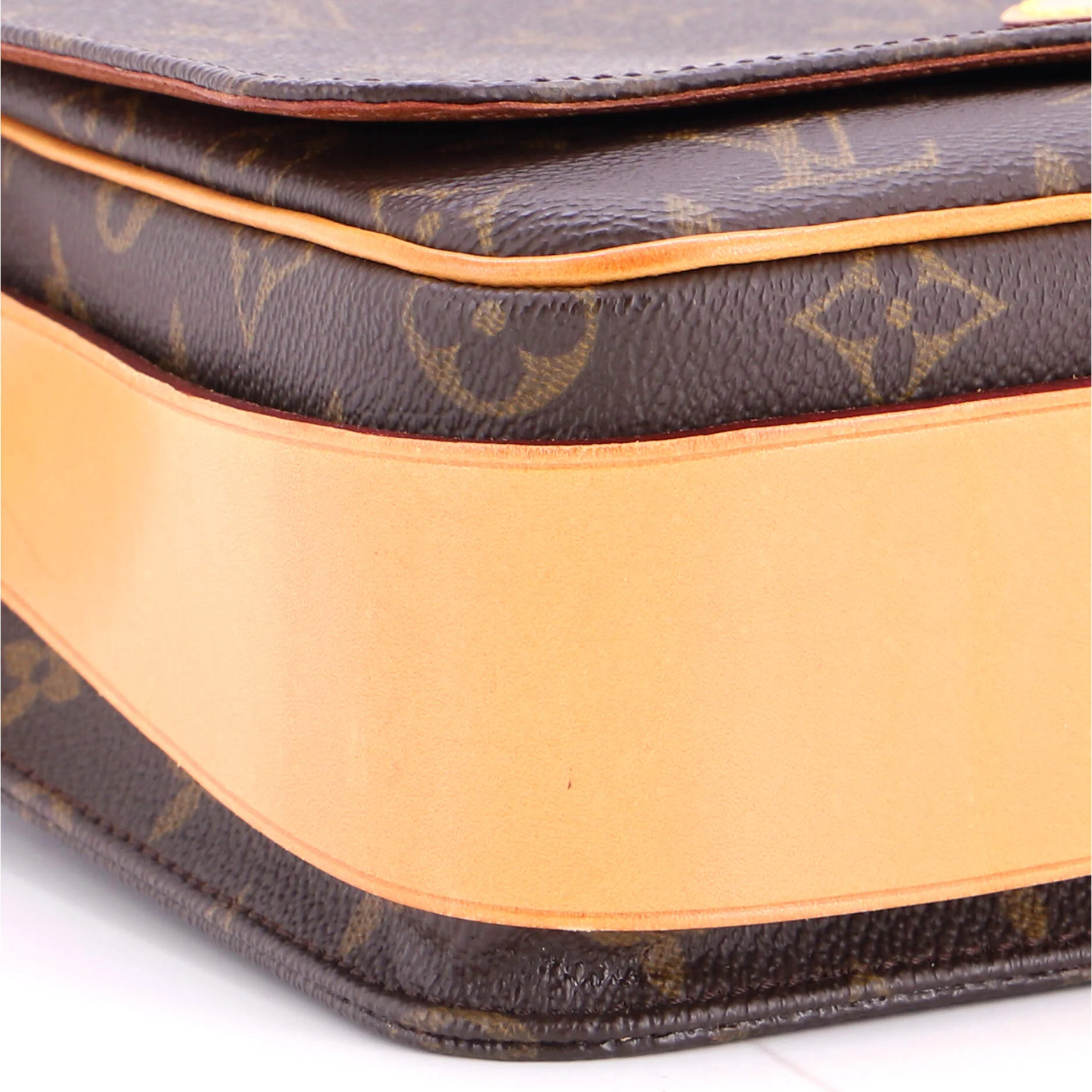 Cartouchiere Handbag Monogram Canvas GM - Image 6