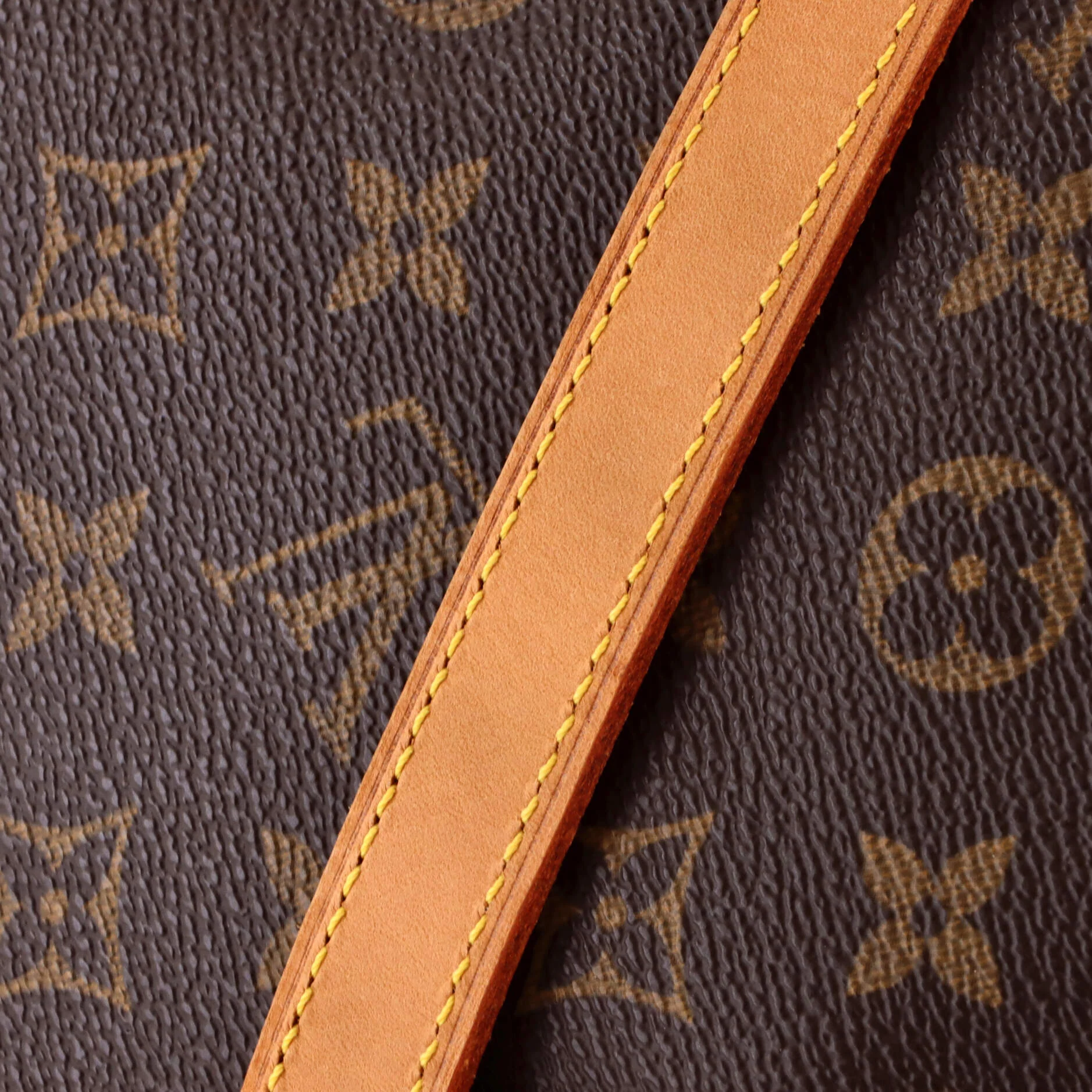 Cite Handbag Monogram Canvas GM - Image 7