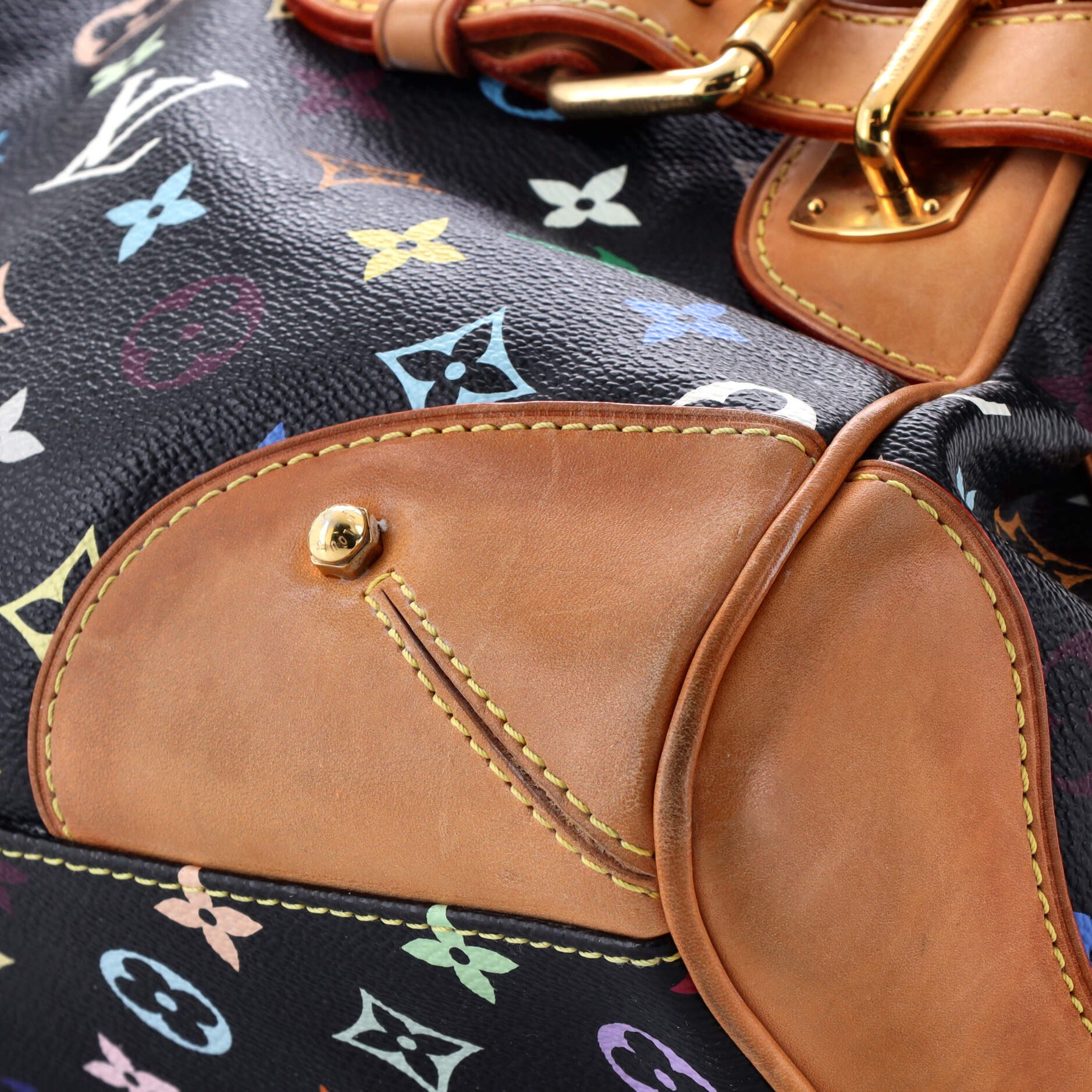Claudia Handbag Monogram Multicolor - Image 7