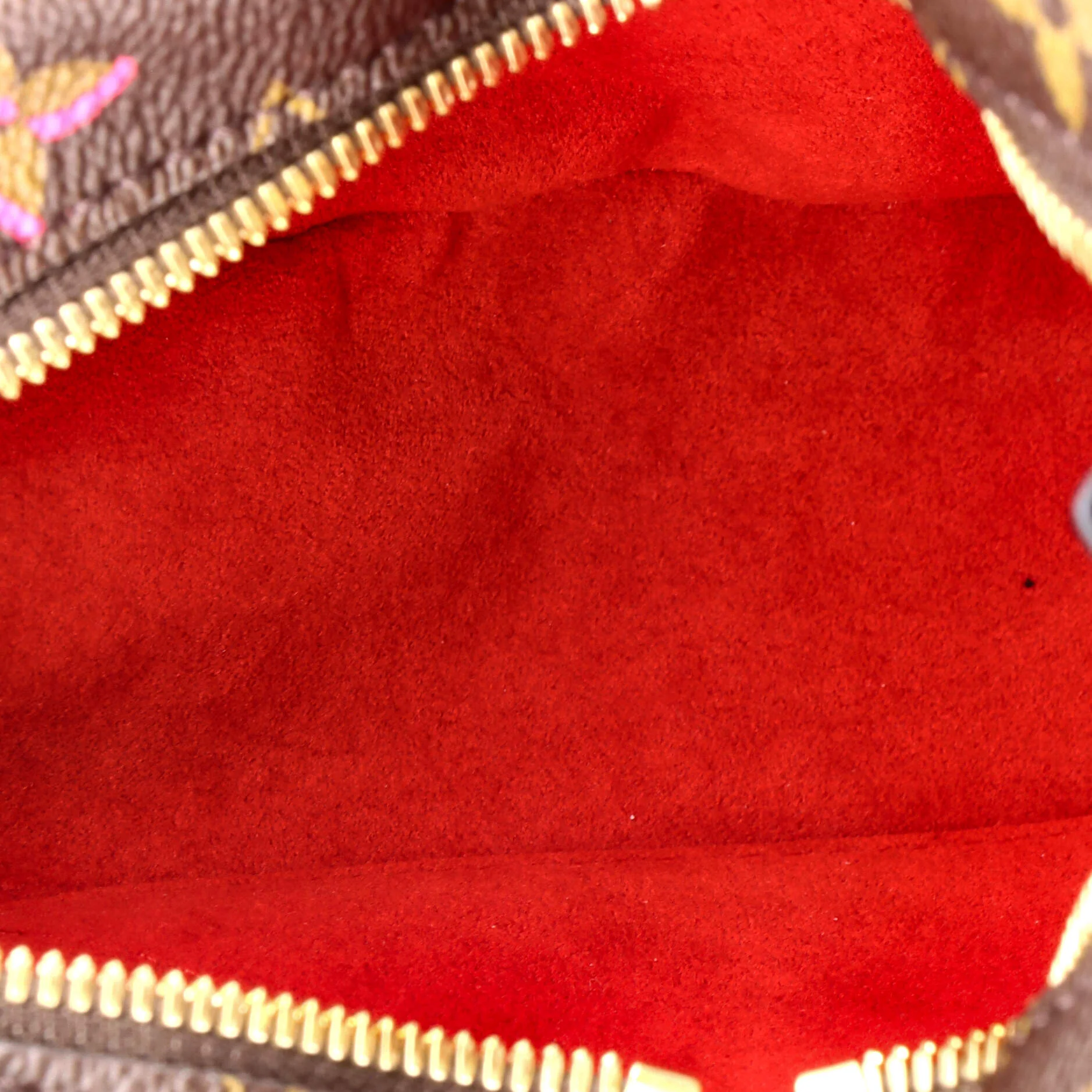 Coeur Handbag Limited Edition Fall in Love Monogram Canvas - Image 5