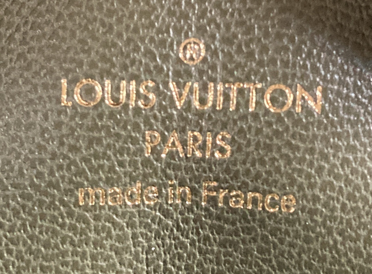 Coussin Bag Monogram Embossed Lambskin MM - Image 7