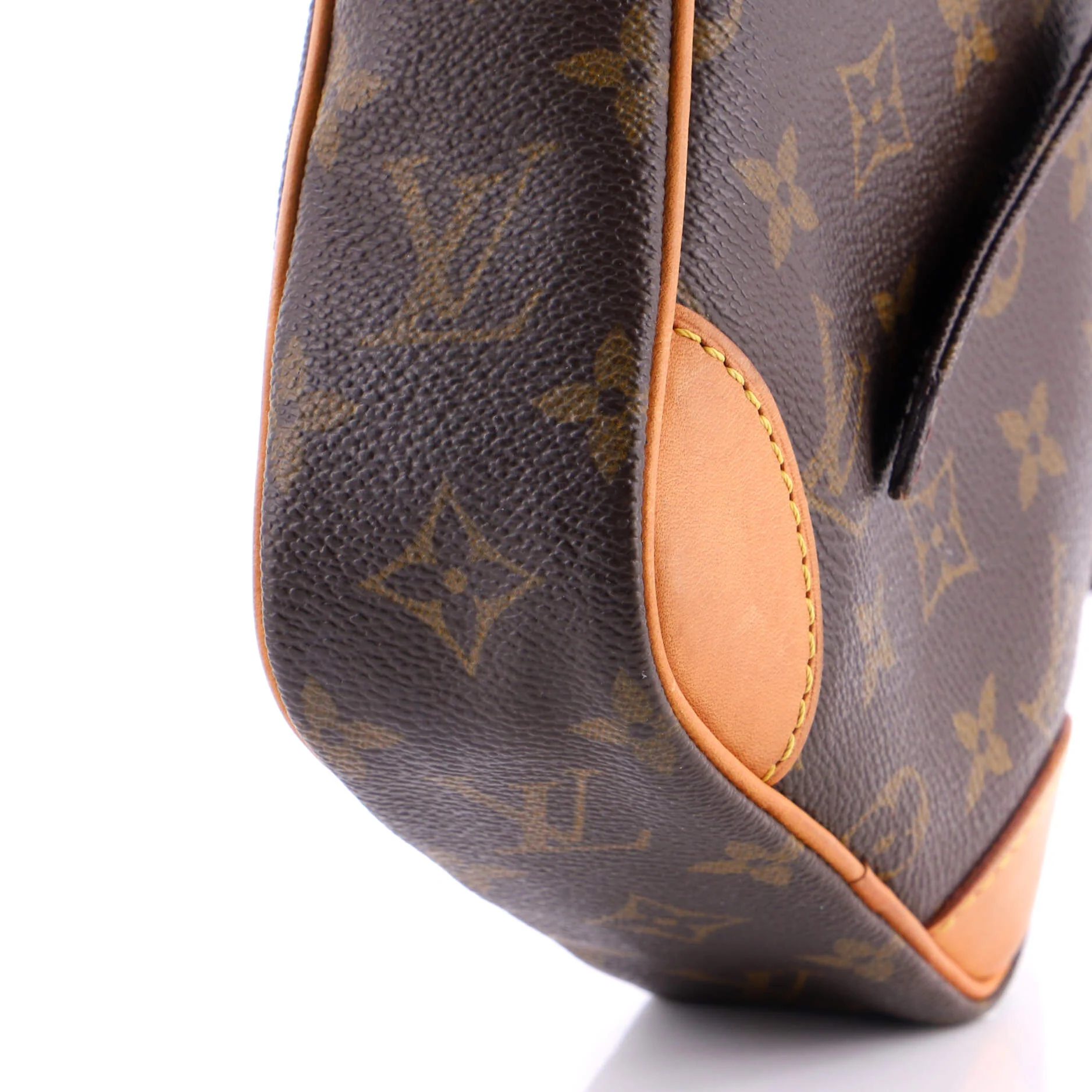 Danube Handbag Monogram Canvas - Image 6