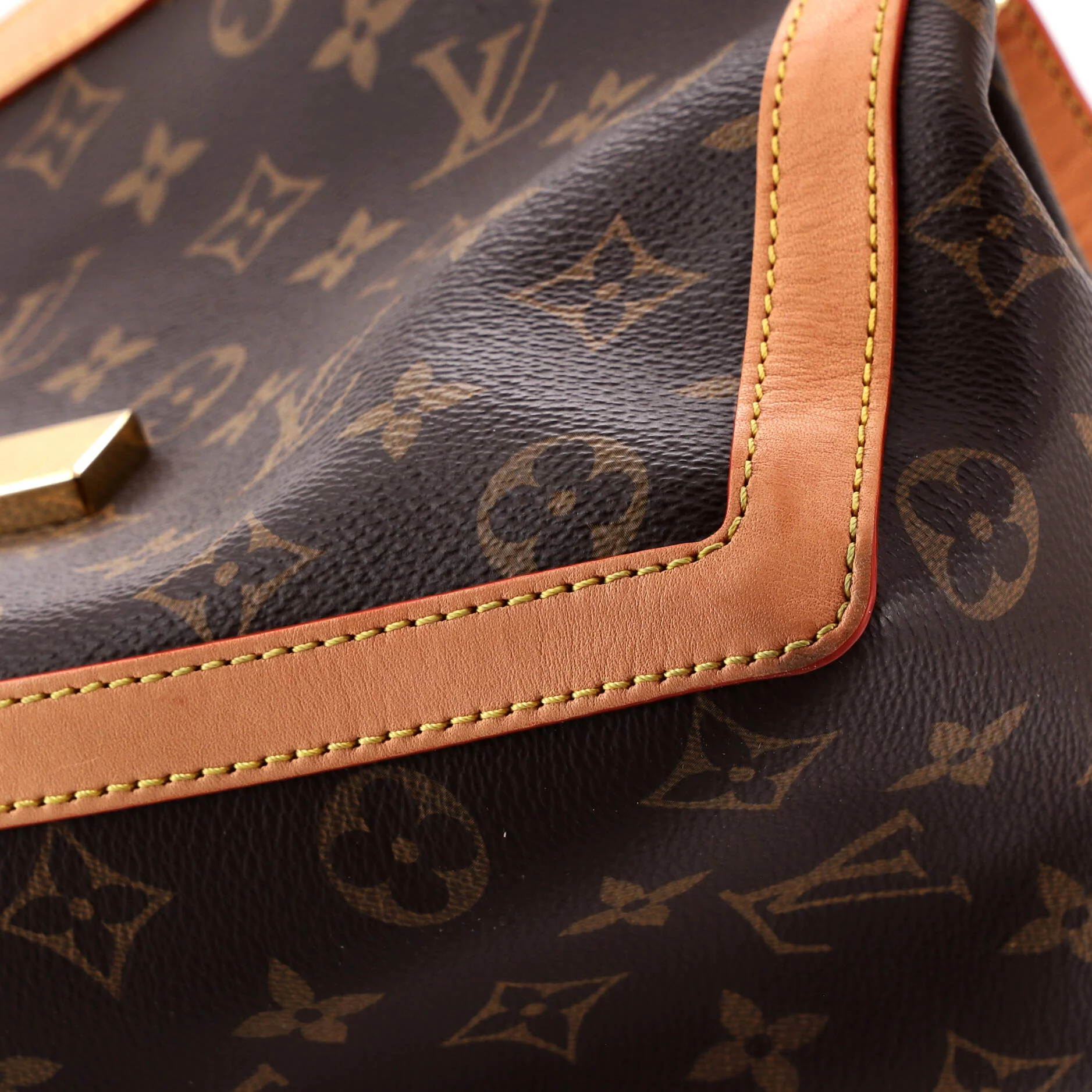 Dauphine Soft Shoulder Bag Monogram Canvas GM - Image 8