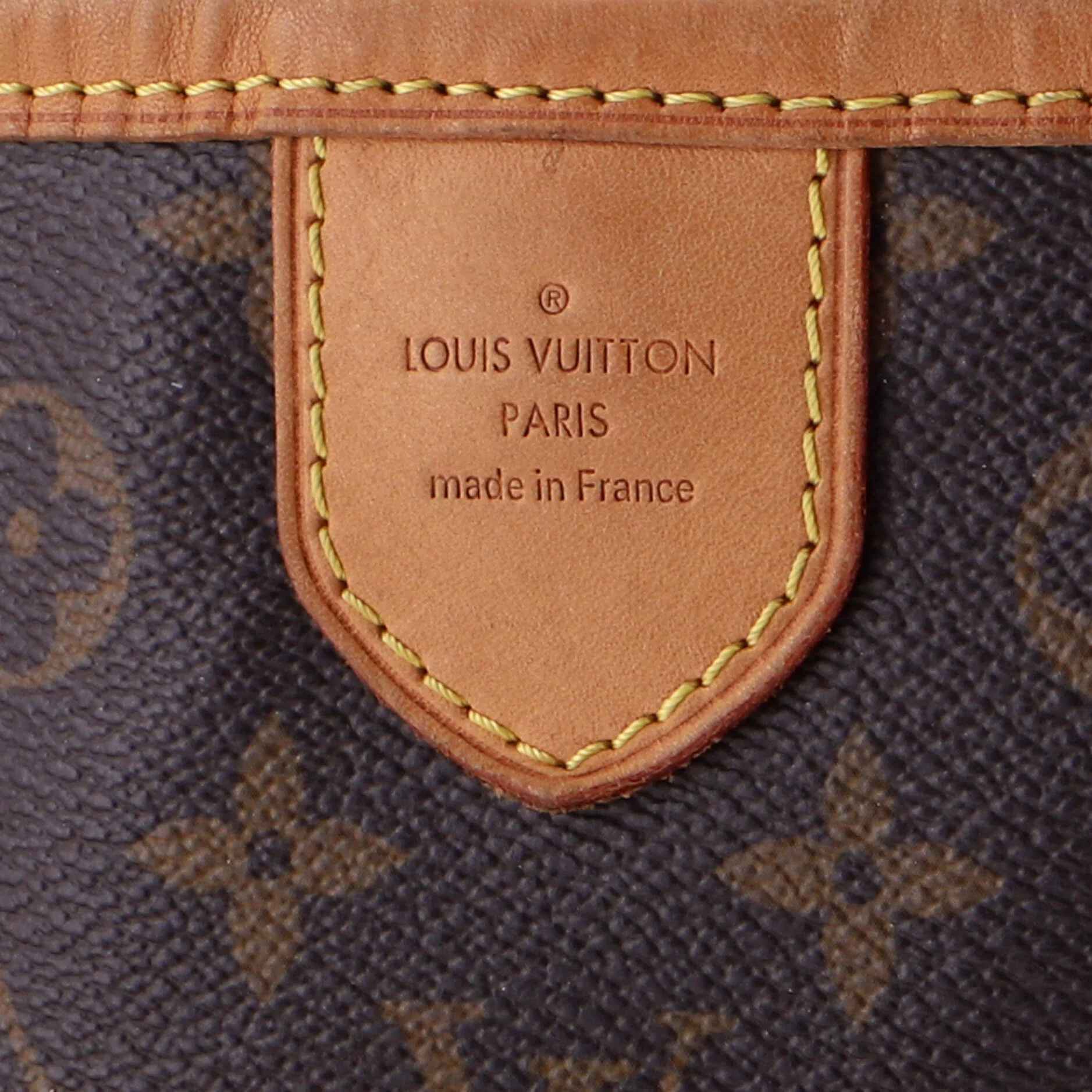 Delightful Handbag Monogram Canvas MM - Image 5