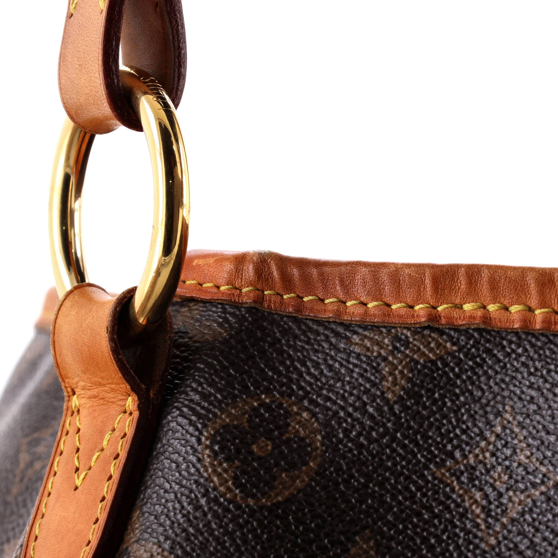 Delightful Handbag Monogram Canvas MM - Image 6