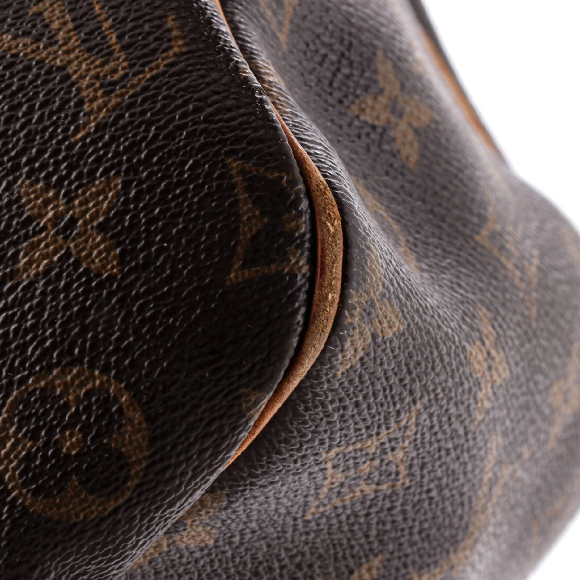Delightful Handbag Monogram Canvas PM - Image 6