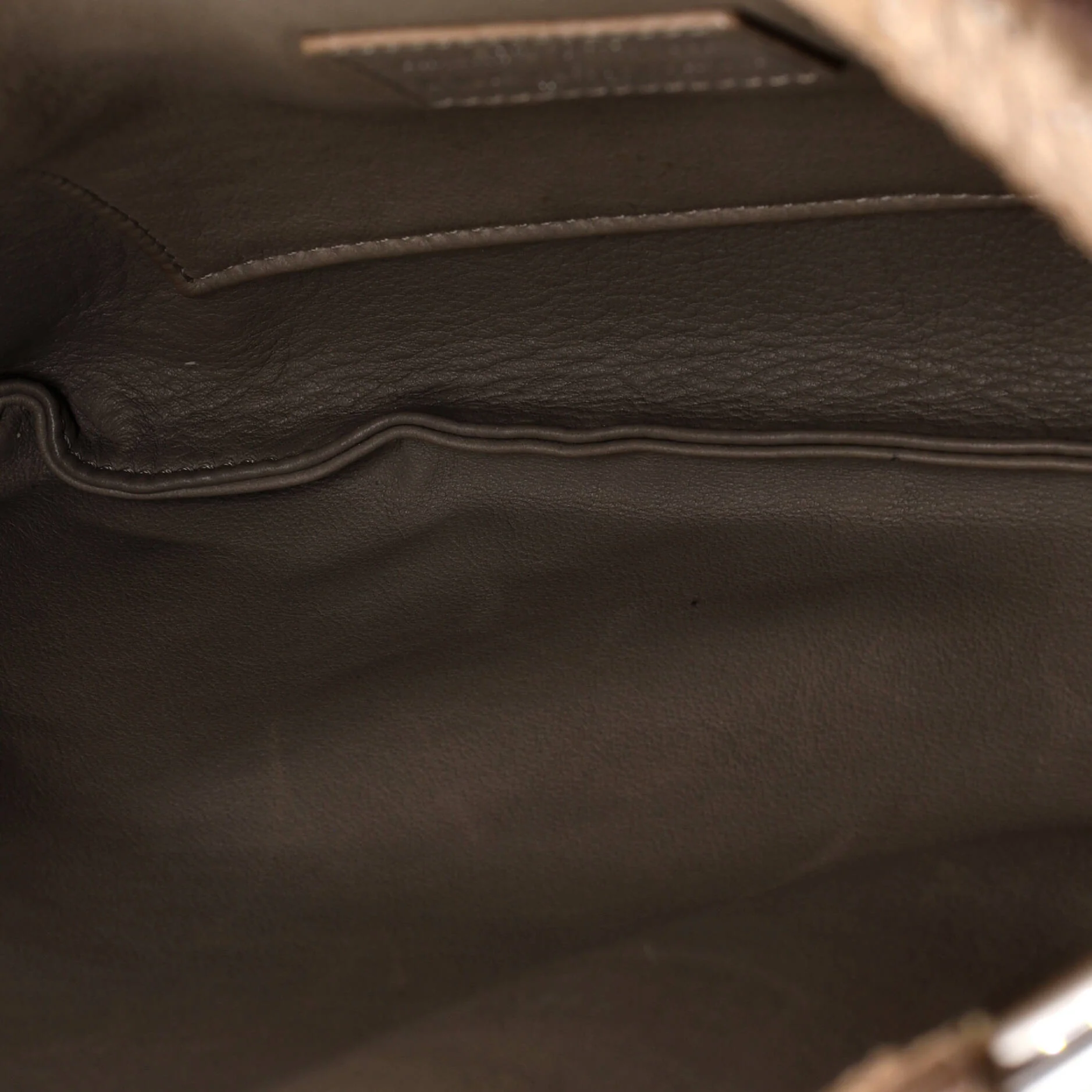 Delphes Tote Perforated Python - Image 5