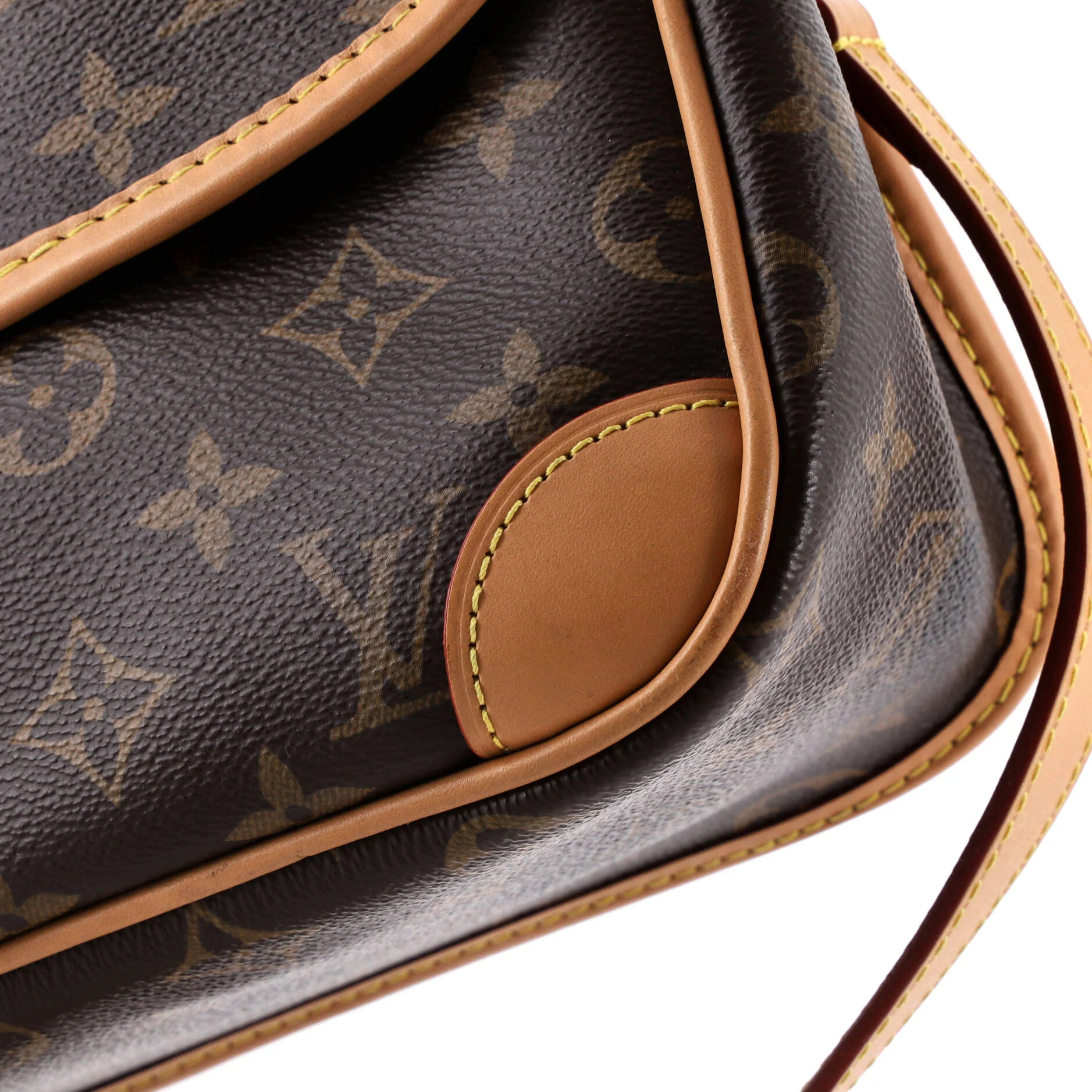 Diane NM Handbag Monogram Canvas - Image 7