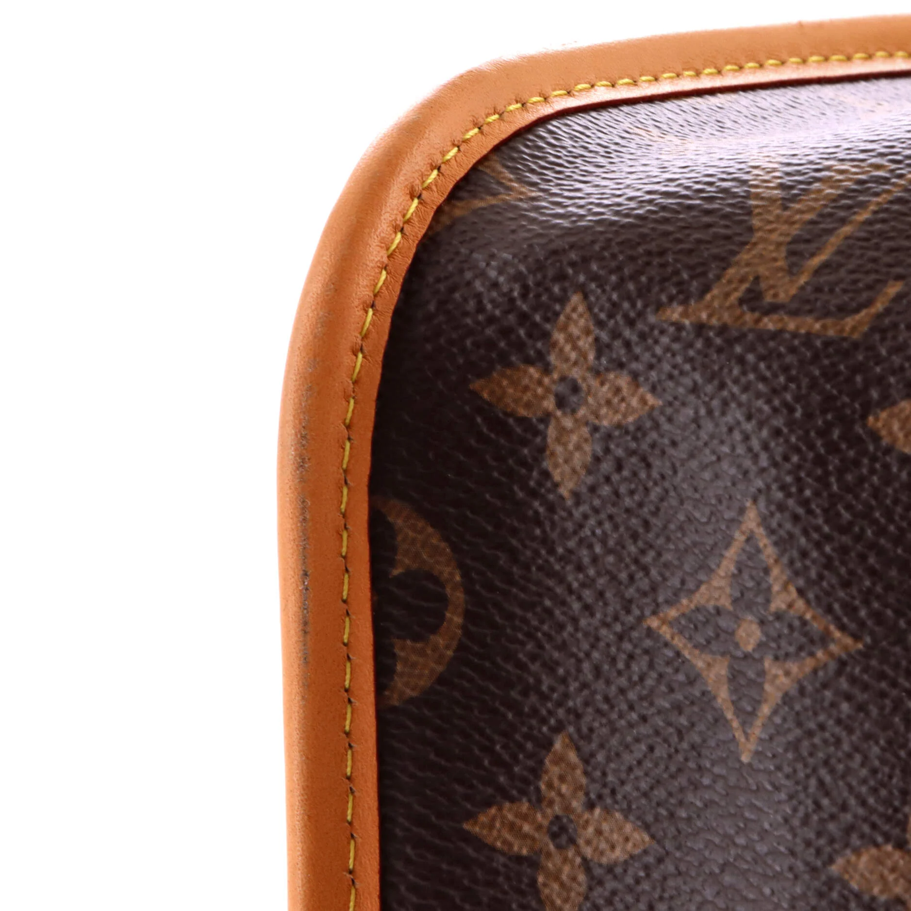 Diane NM Handbag Monogram Canvas - Image 6