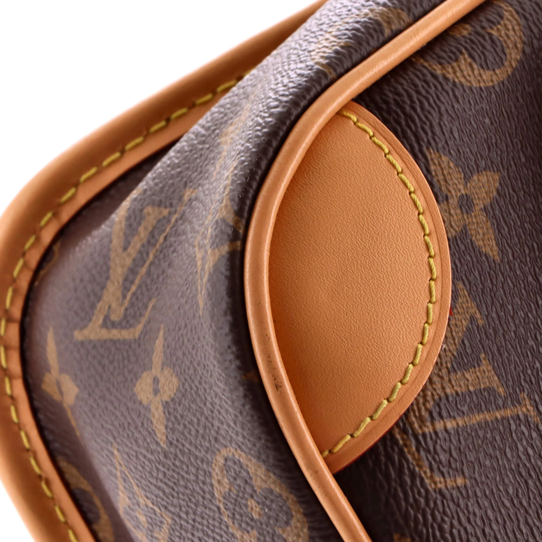 Diane NM Handbag Monogram Canvas - Image 6