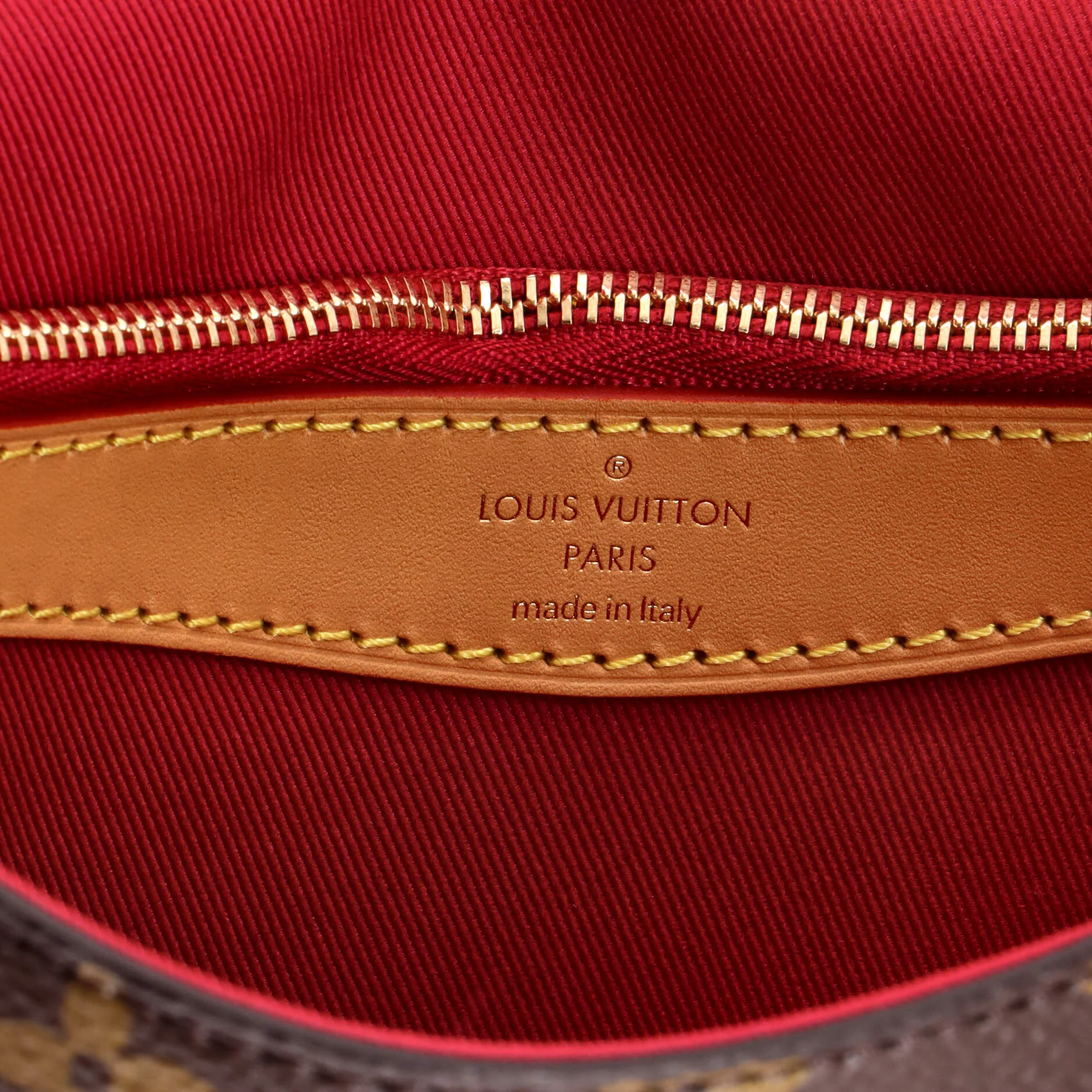 Diane NM Handbag Monogram Canvas - Image 7