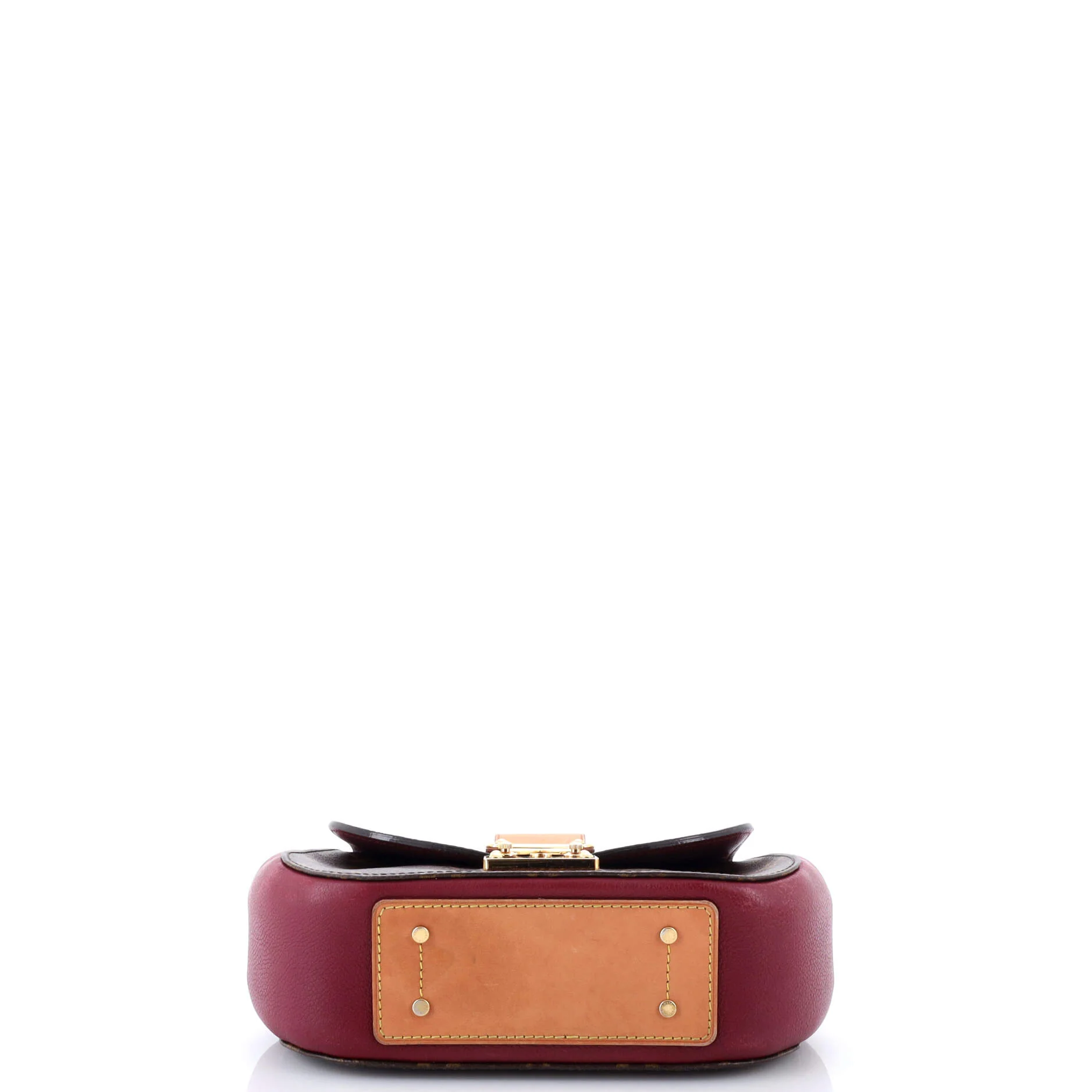 Eden Handbag Monogram Canvas PM - Image 4