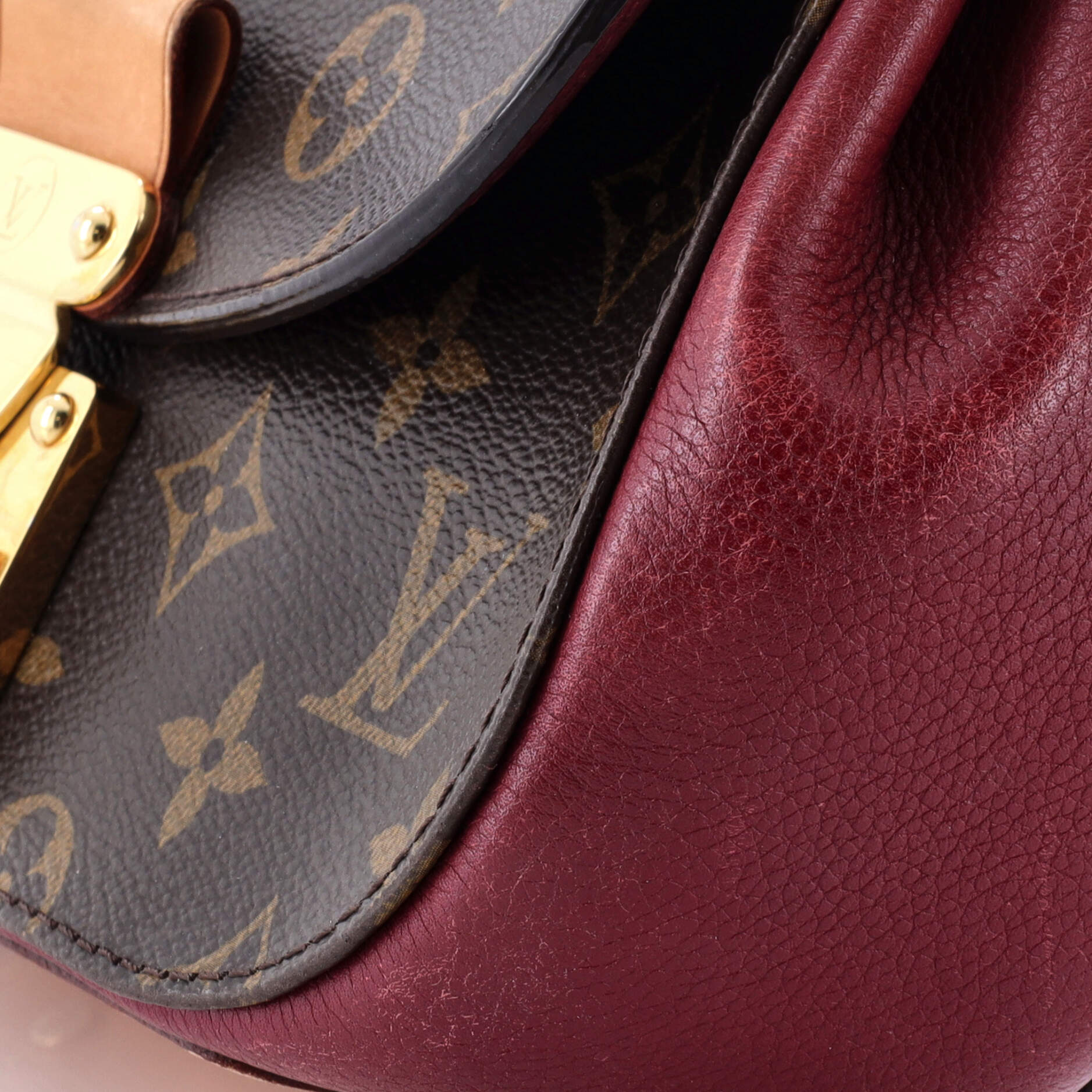 Eden Handbag Monogram Canvas PM - Image 6
