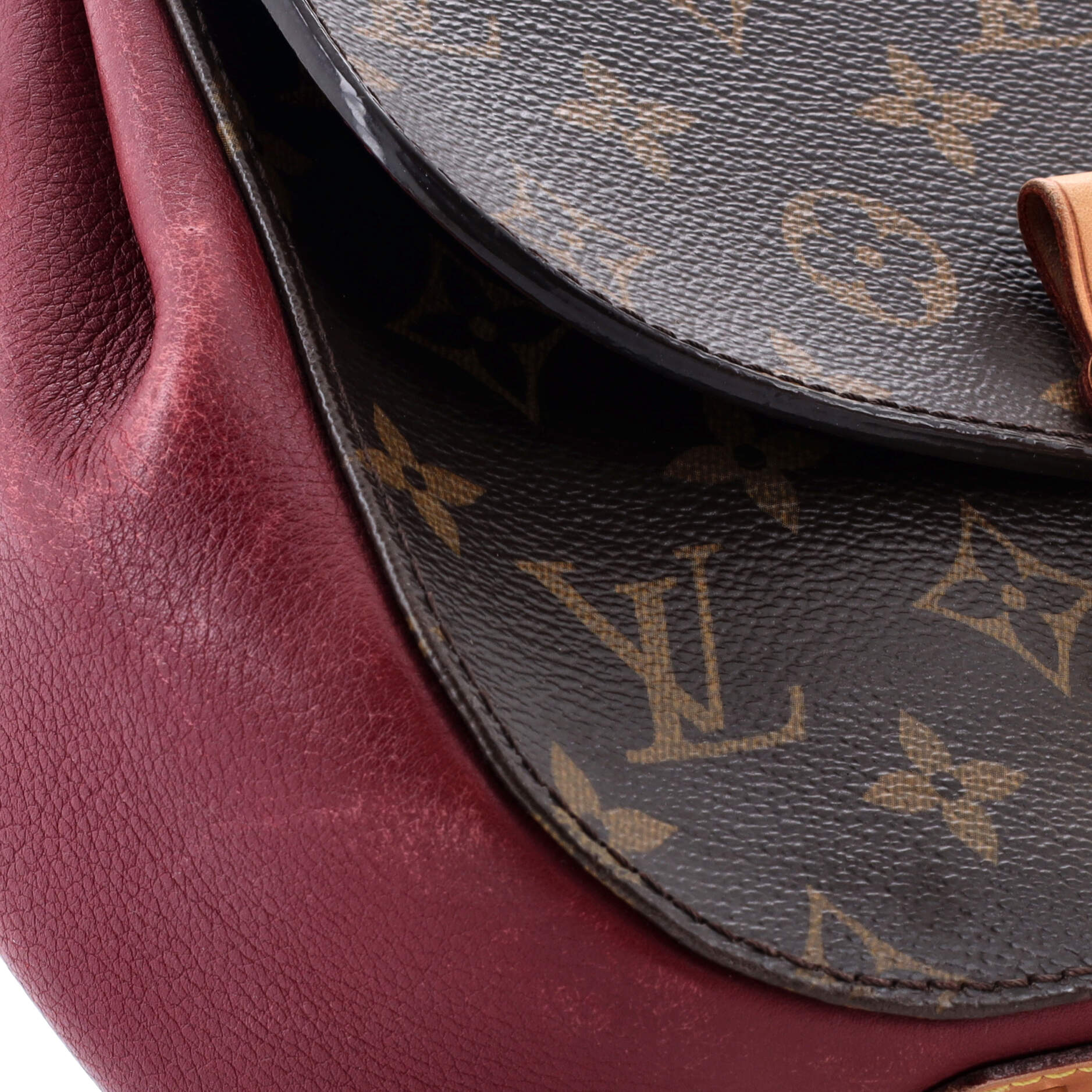 Eden Handbag Monogram Canvas PM - Image 7