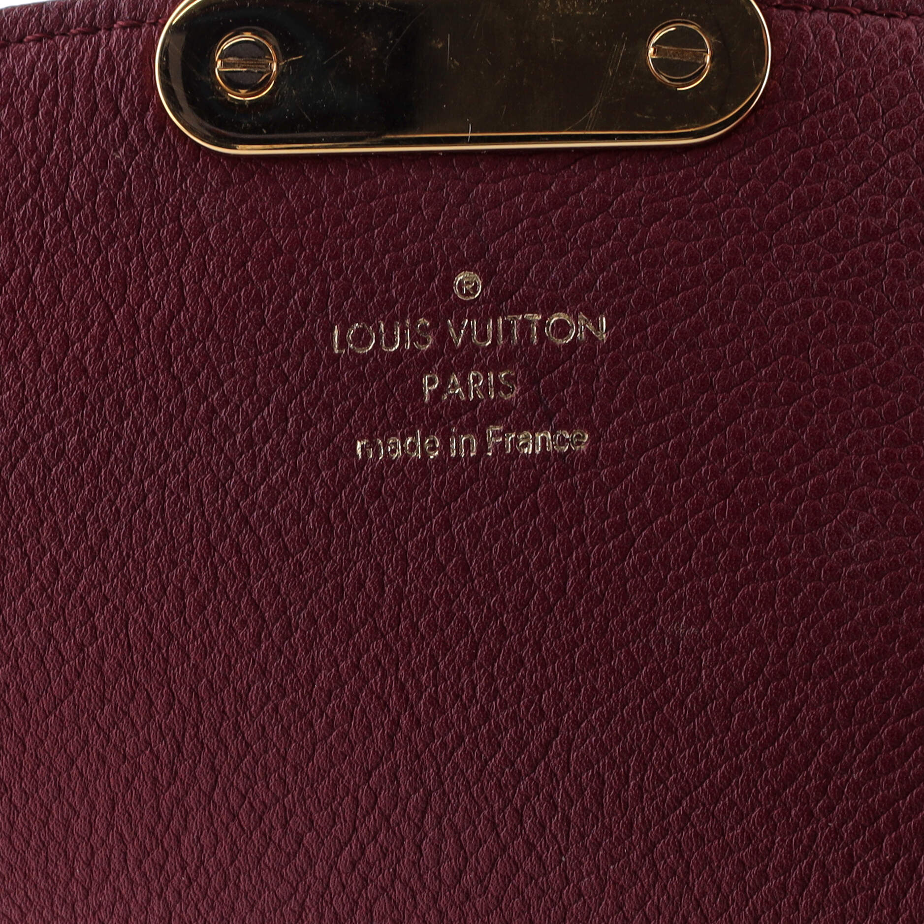 Eden Handbag Monogram Canvas PM - Image 8