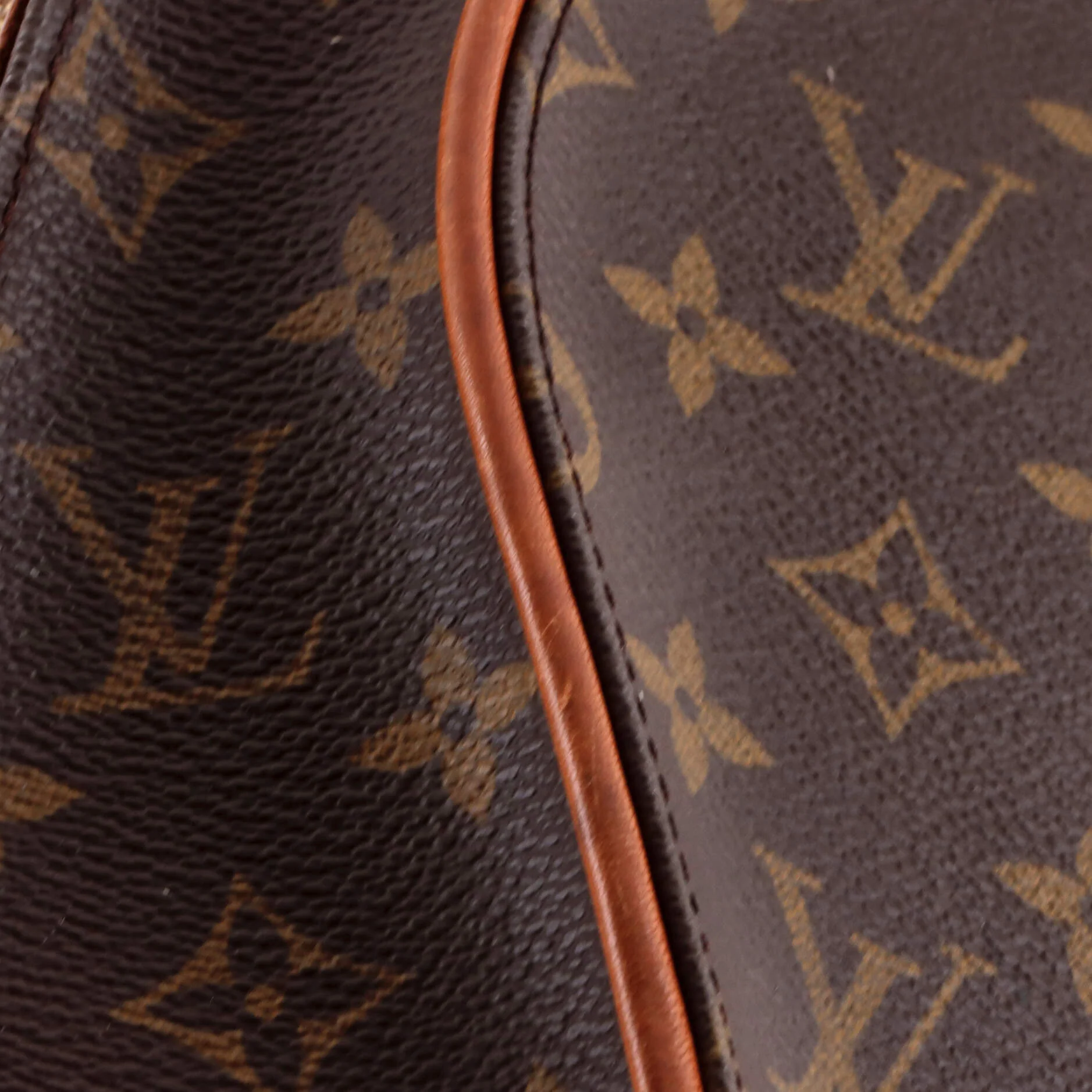 Ellipse Backpack Monogram Canvas - Image 6