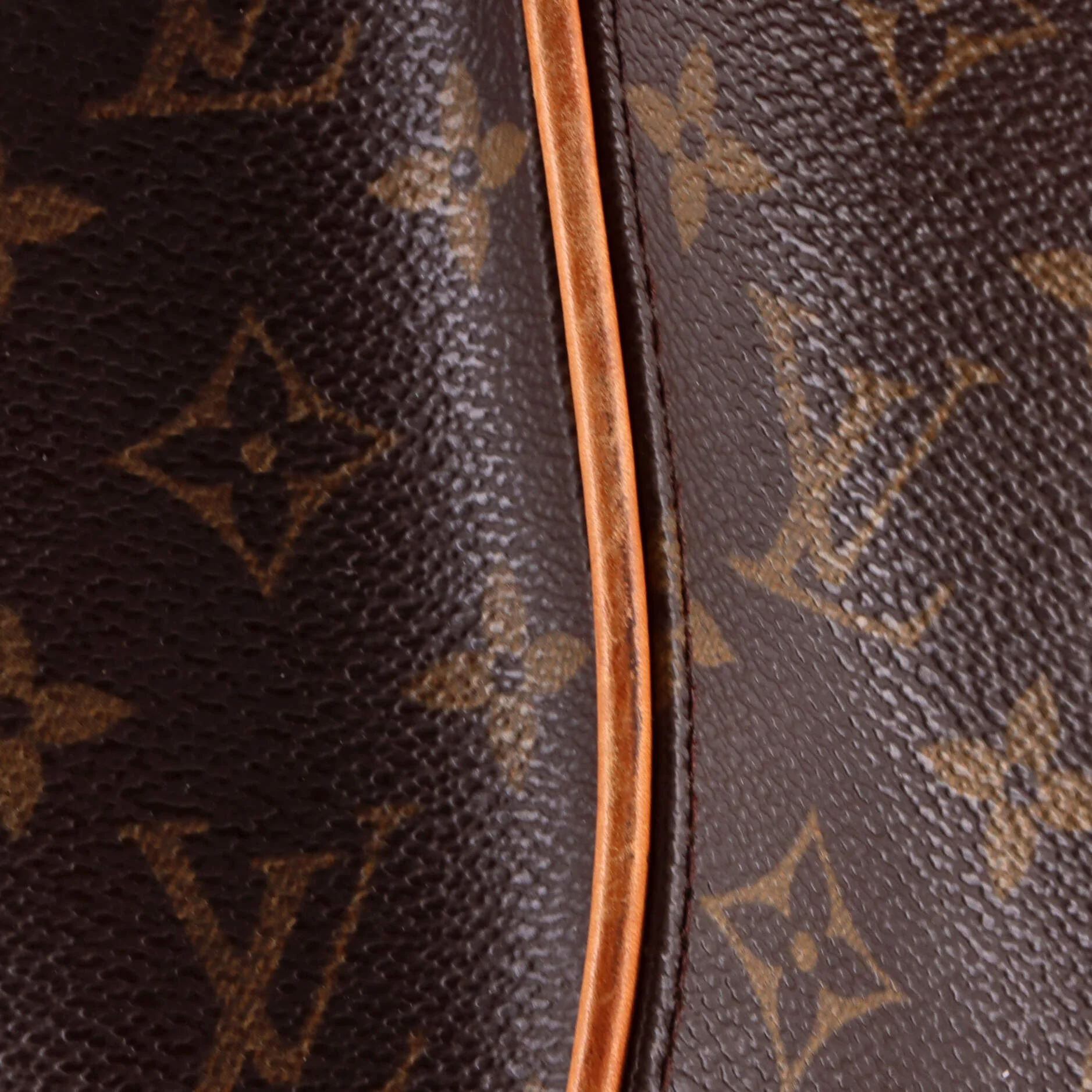 Ellipse Backpack Monogram Canvas - Image 6