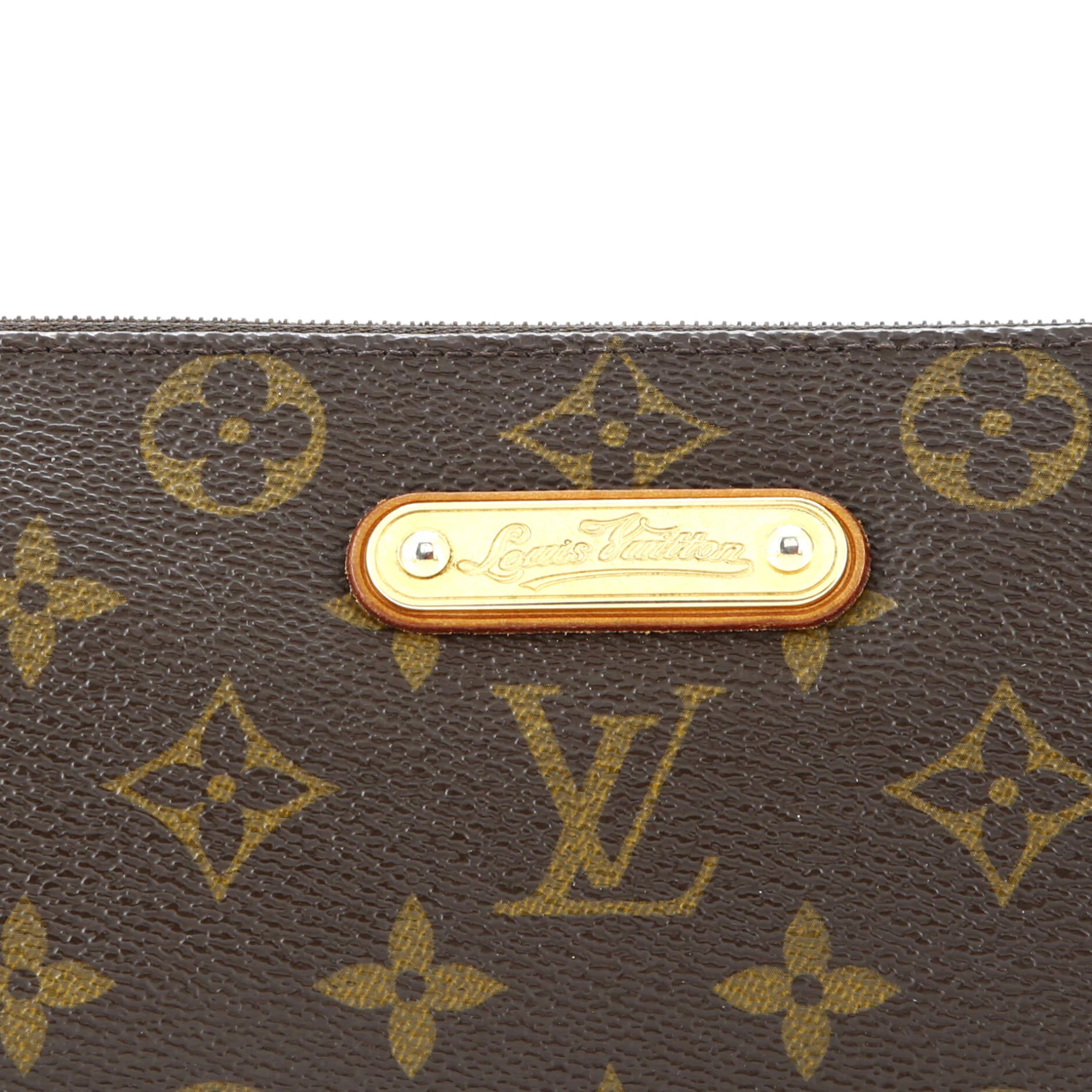 Eva Handbag Monogram Canvas - Image 7