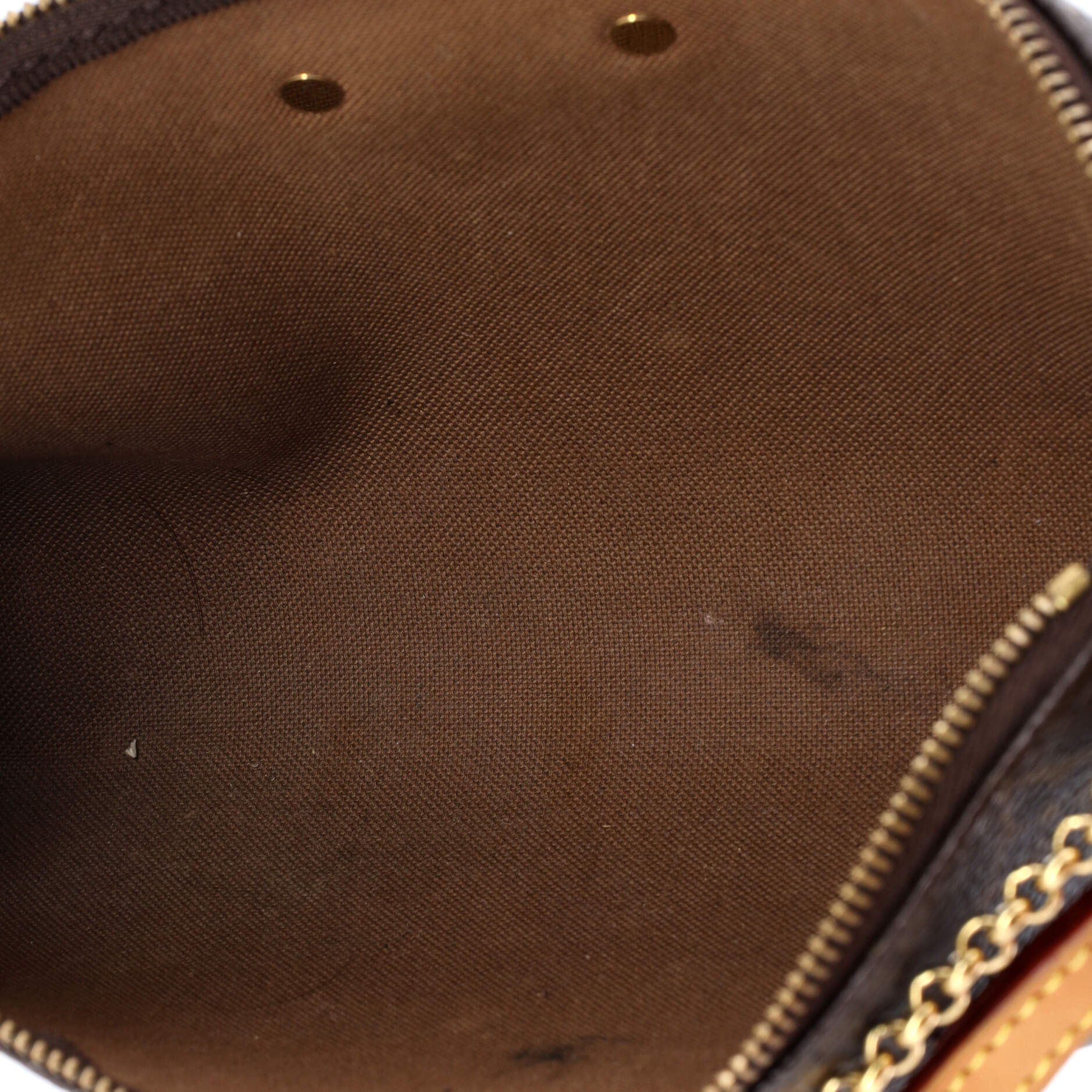 Eva Handbag Monogram Canvas - Image 5
