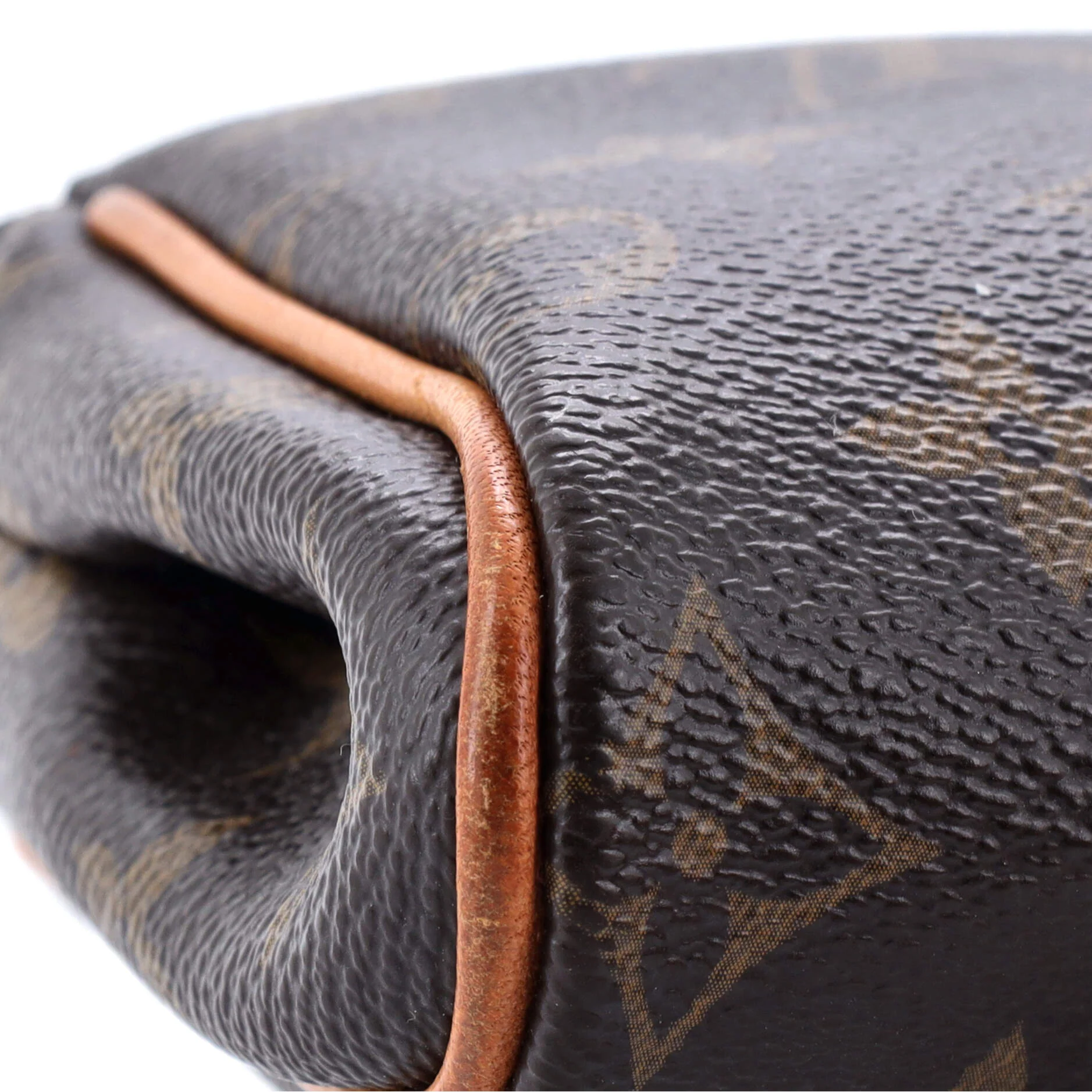 Eva Handbag Monogram Canvas - Image 7