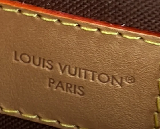 Eva Handbag Monogram Canvas - Image 6