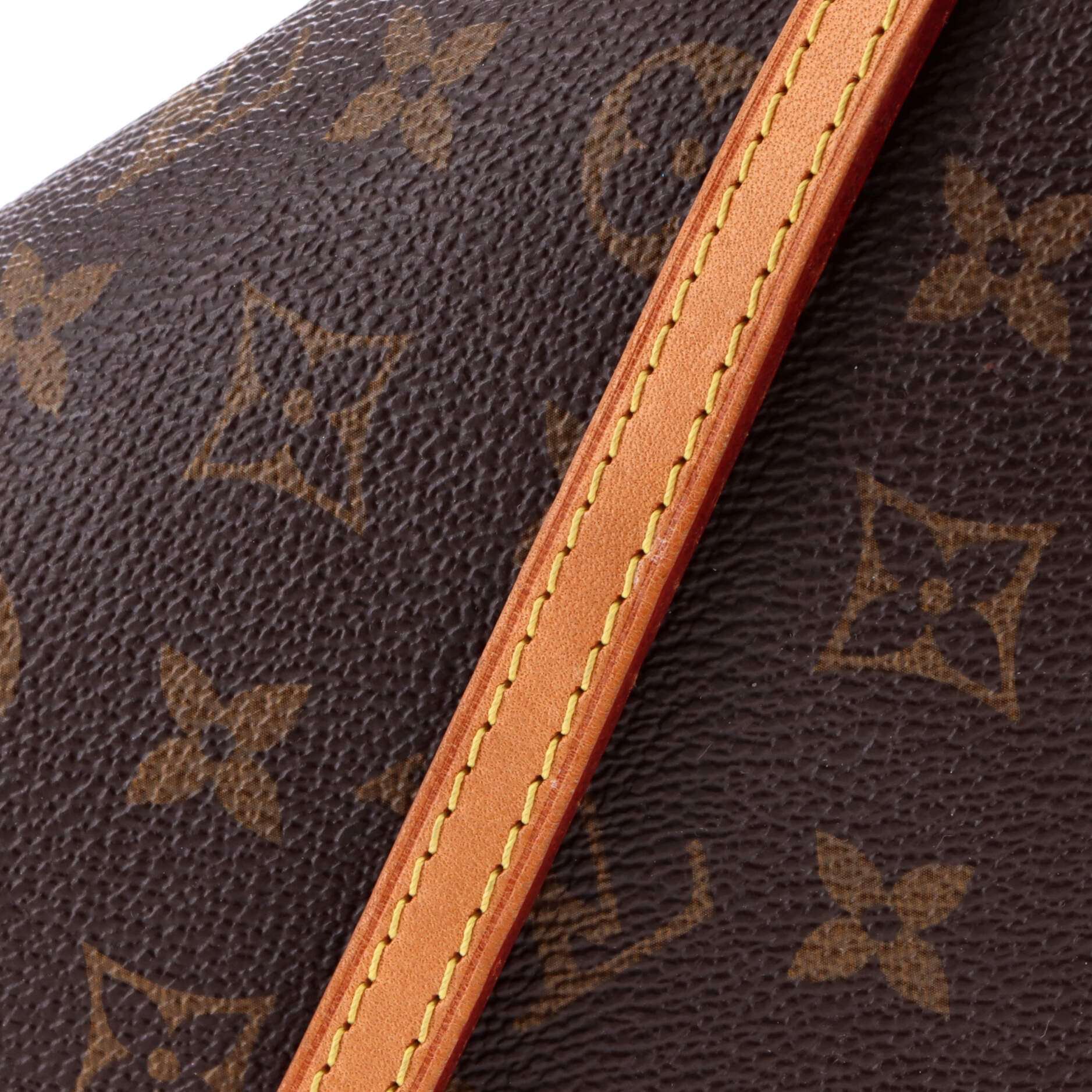 Eva Handbag Monogram Canvas - Image 8