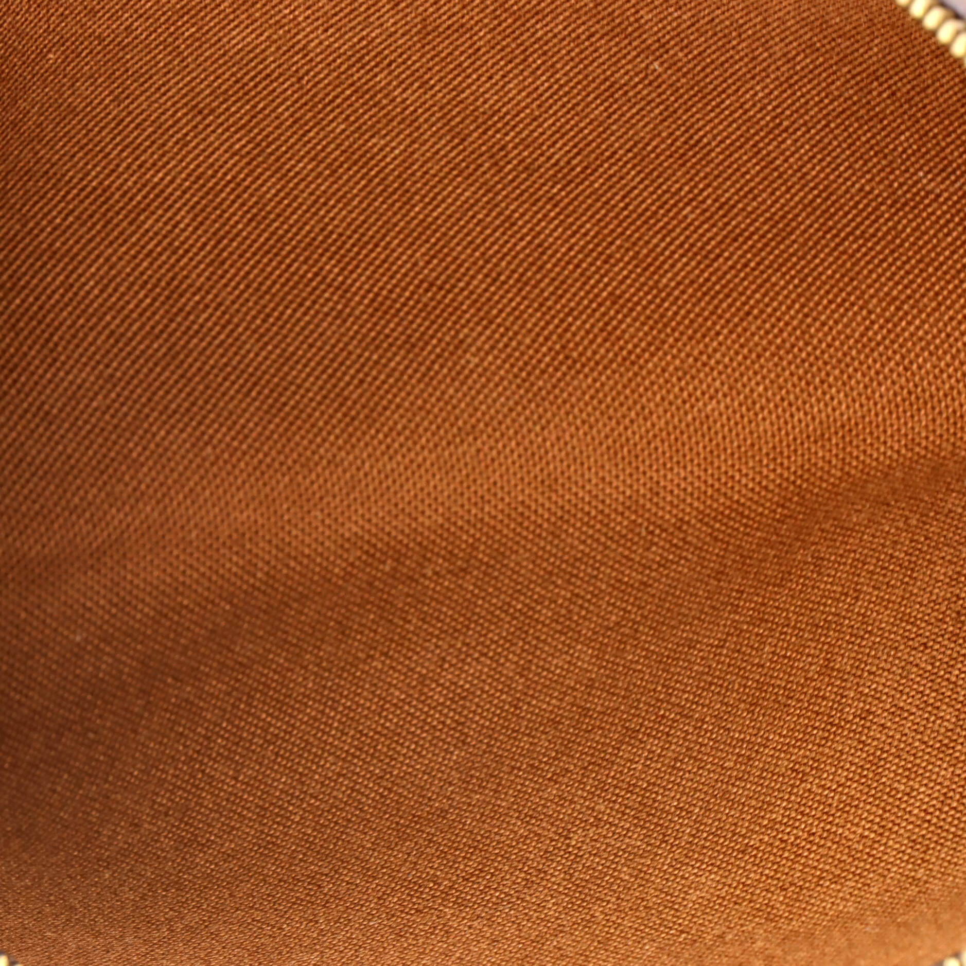 Eva Handbag Monogram Canvas - Image 5