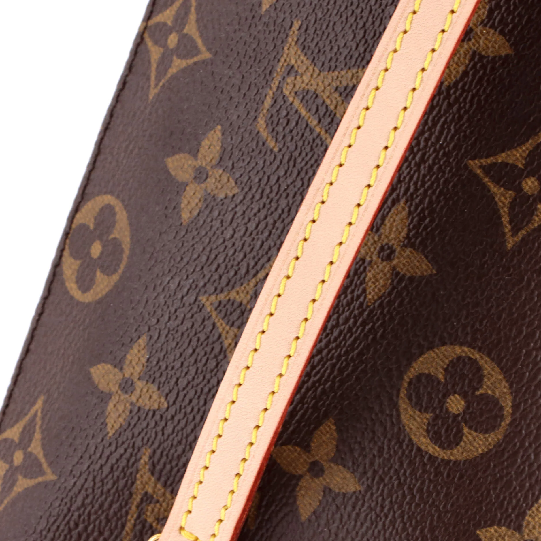 Eva Handbag Monogram Canvas - Image 6