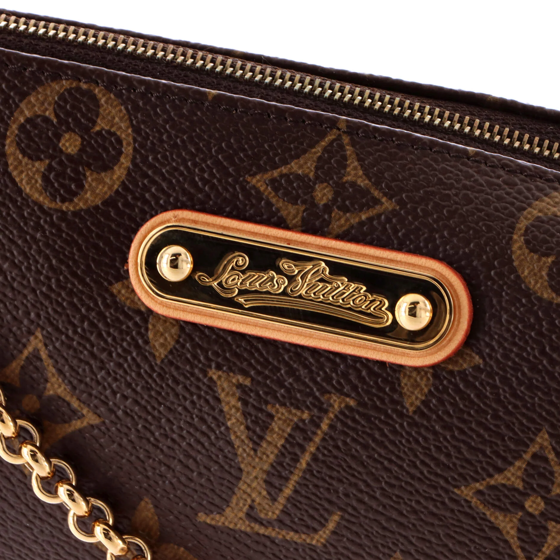 Eva Handbag Monogram Canvas - Image 7