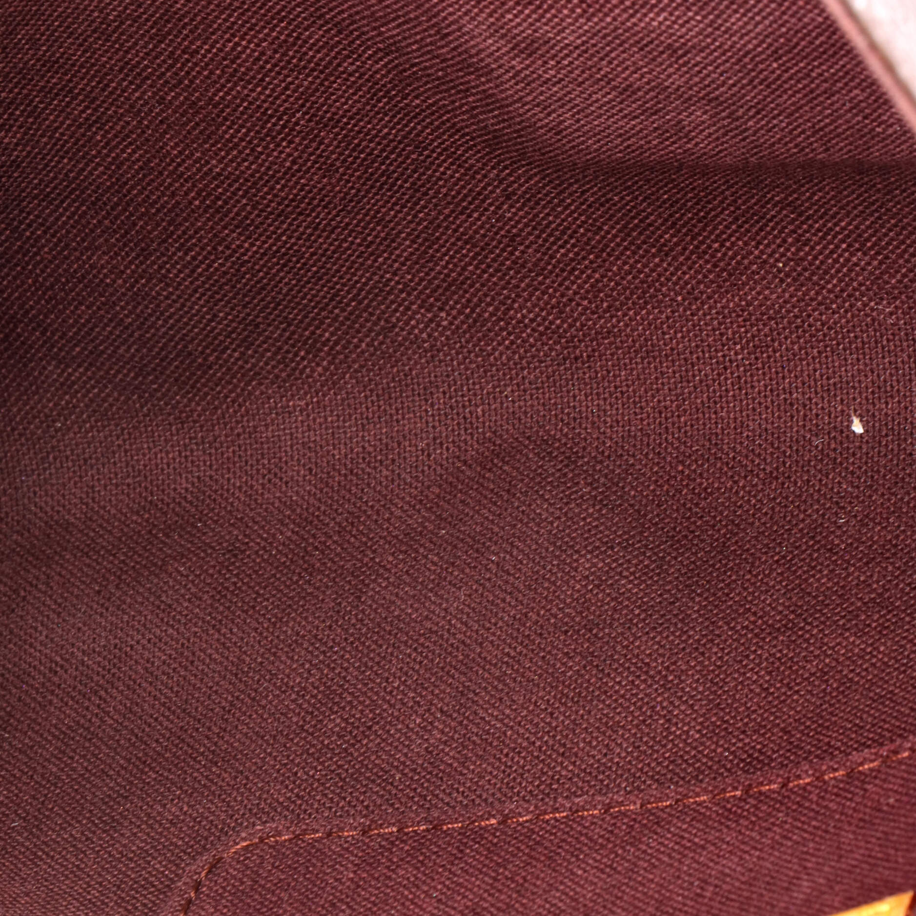 Favorite Handbag Monogram Canvas MM - Image 5