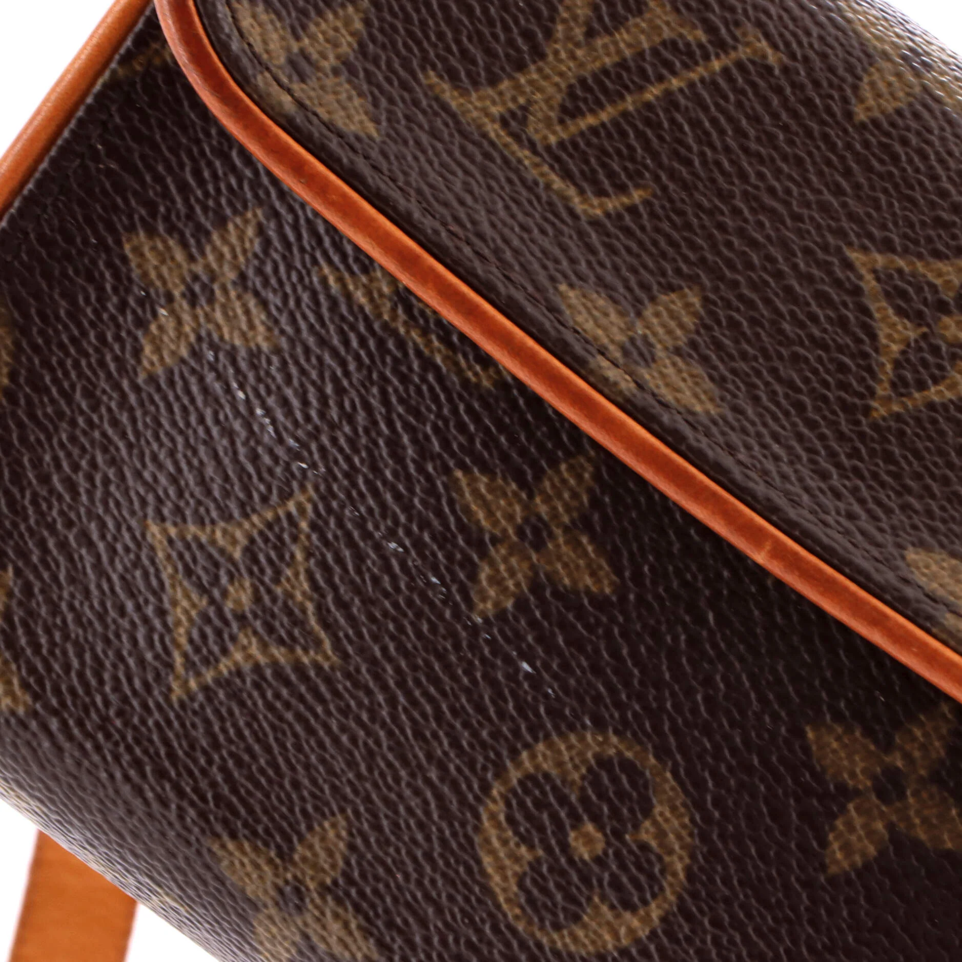 Florentine Waist Bag Monogram Canvas - Image 6