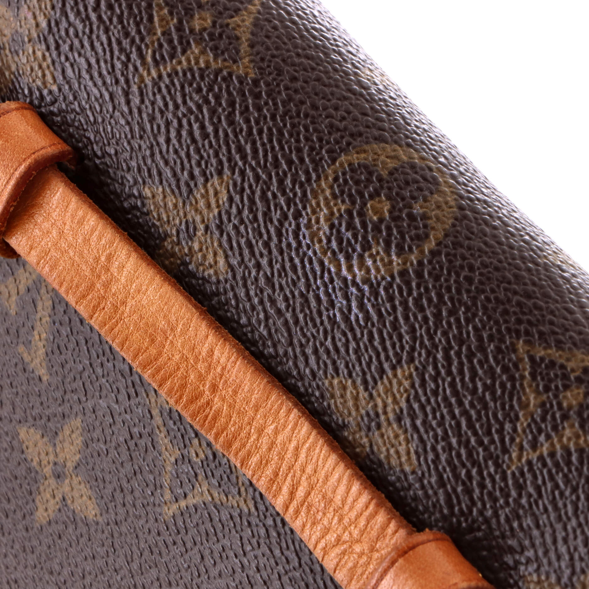 Florentine Waist Bag Monogram Canvas - Image 8