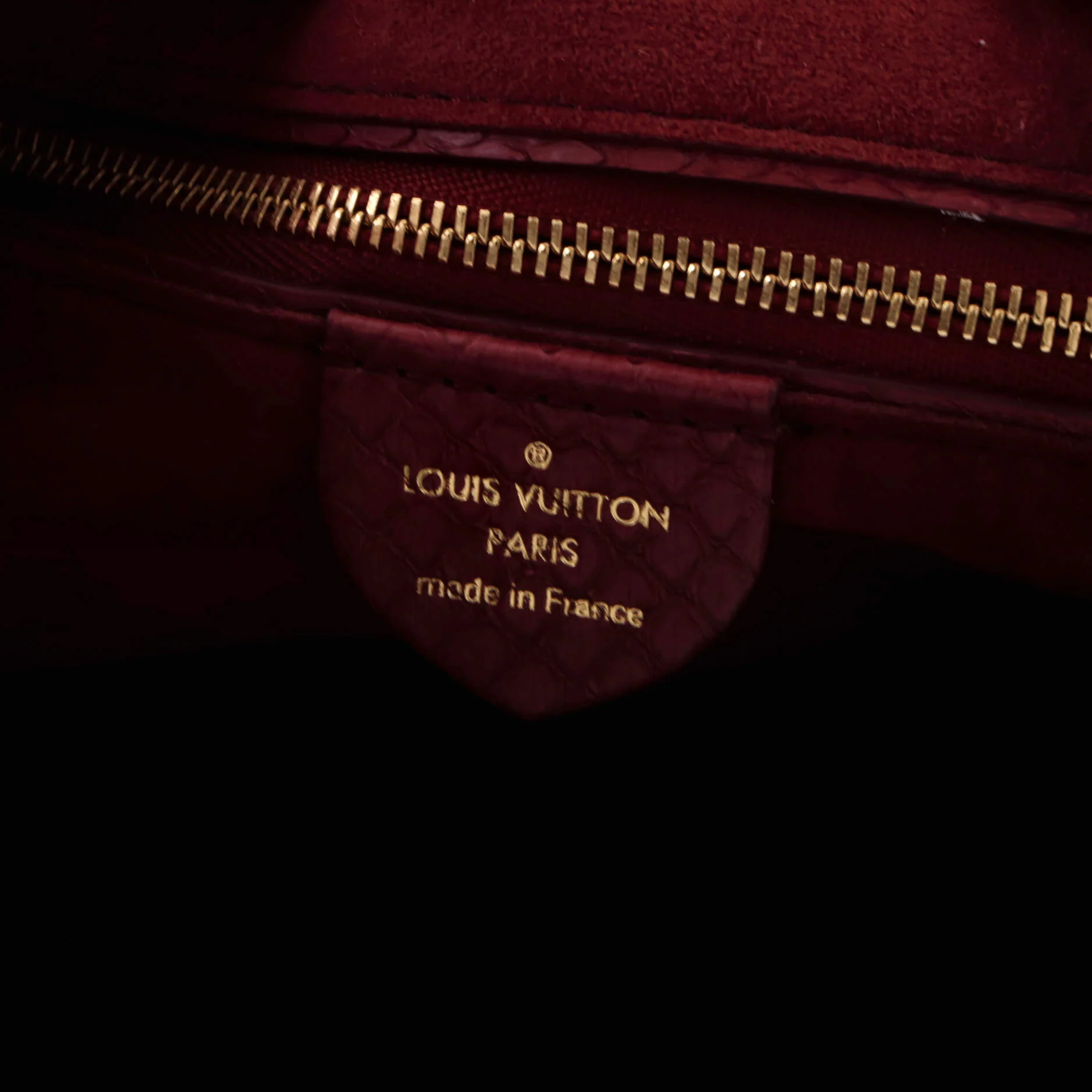 Gaia Handbag Monogram Canvas and Exotics - Image 8