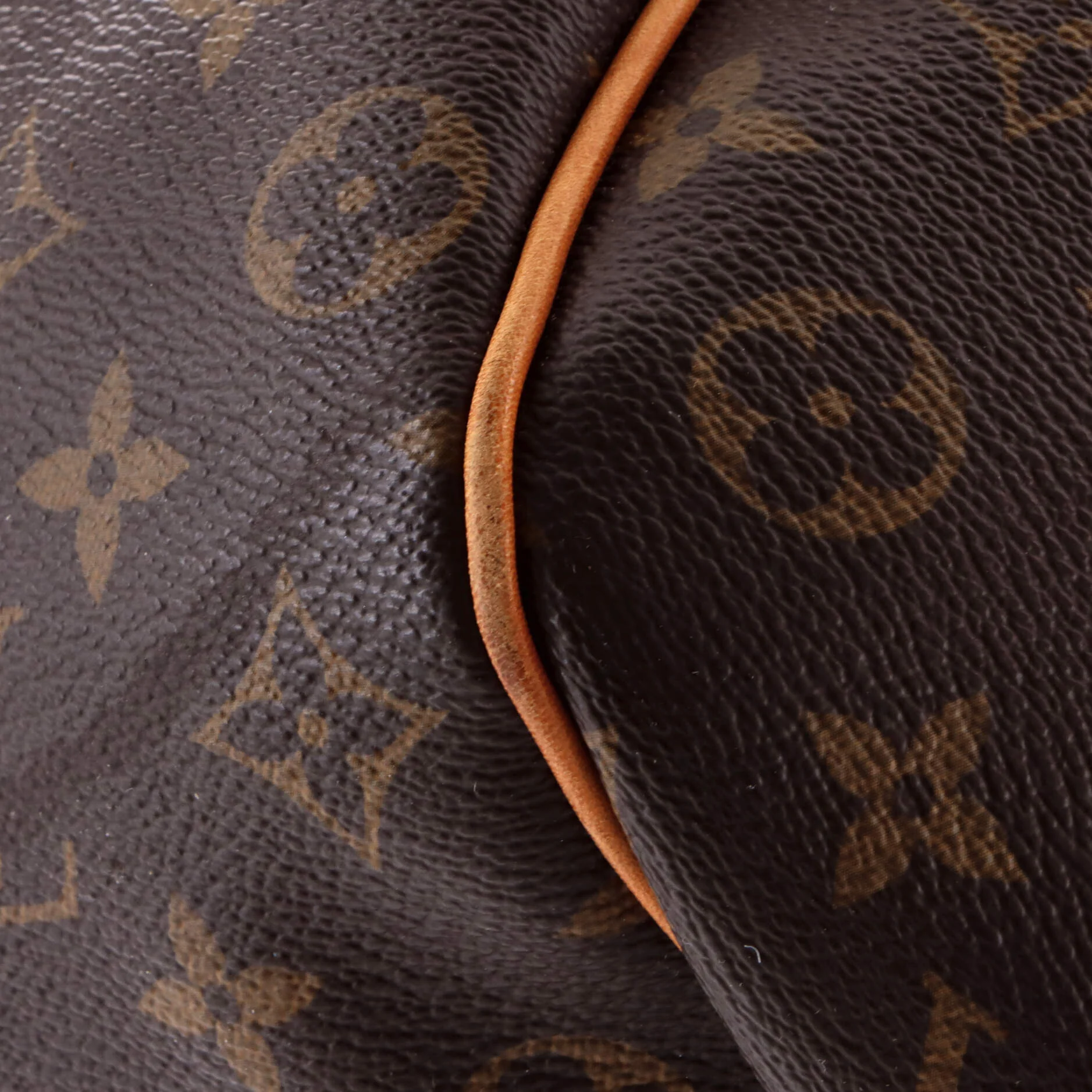 Galliera Handbag Monogram Canvas PM - Image 6