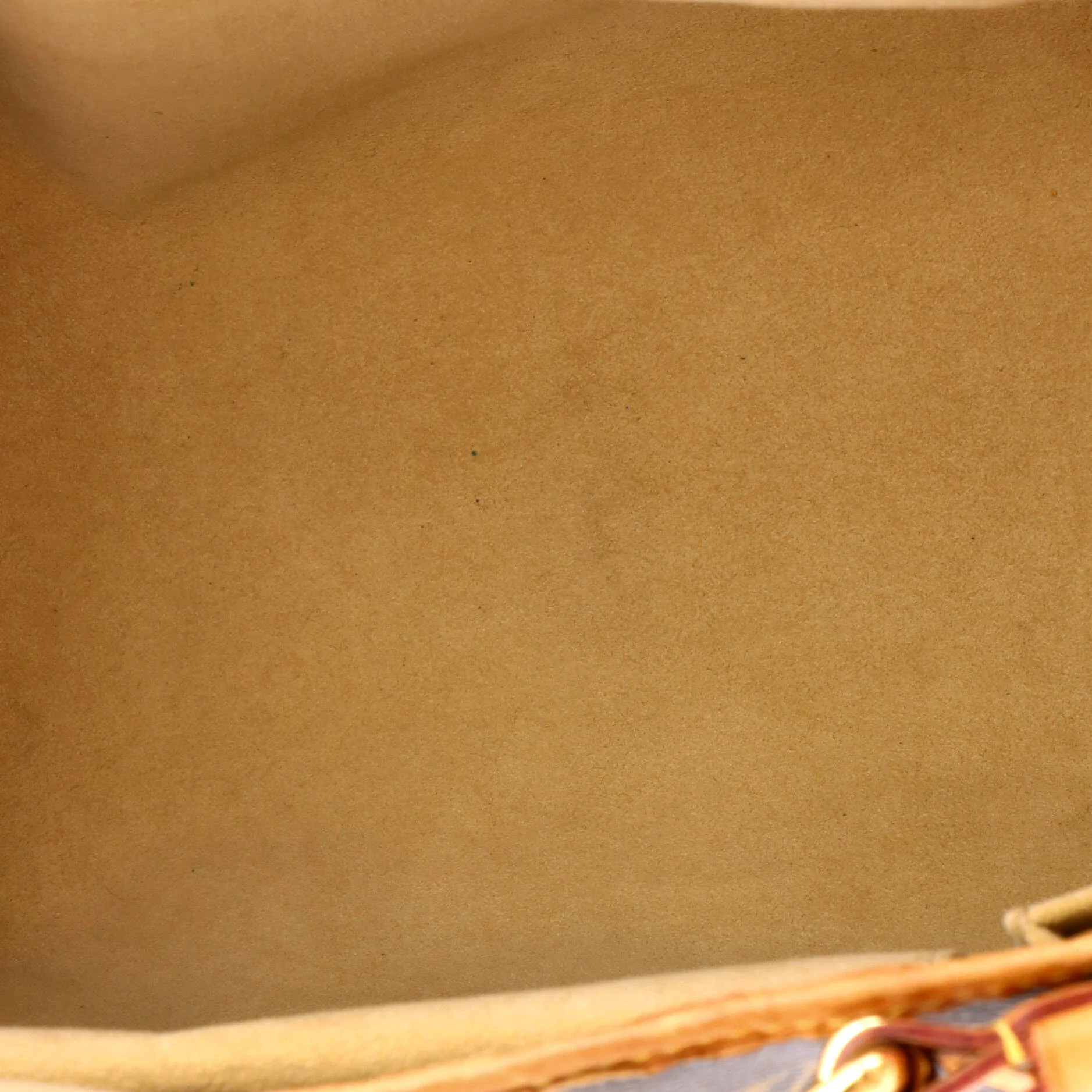 Galliera Handbag Monogram Canvas PM - Image 5