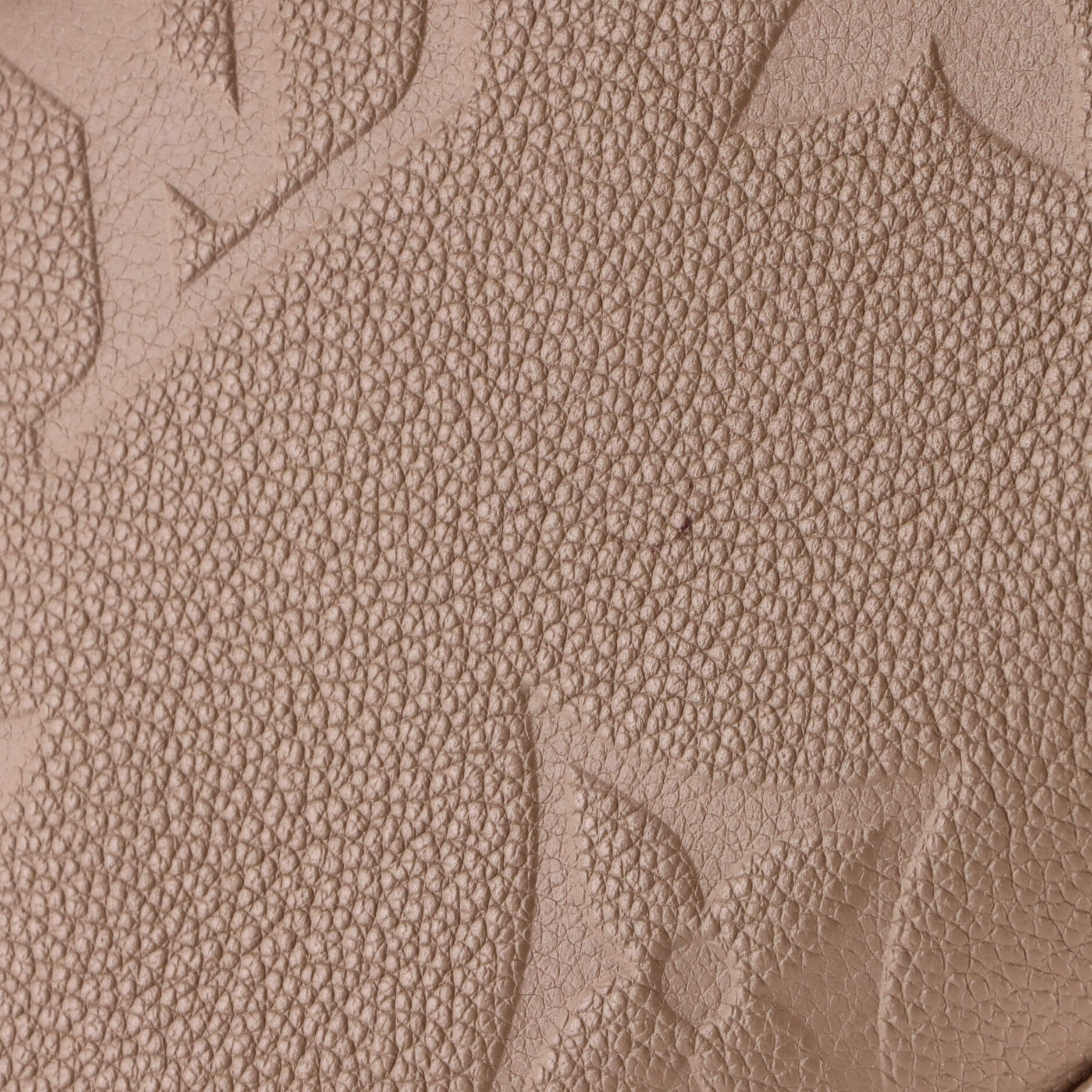Grand Palais Handbag Monogram Empreinte Giant - Image 7