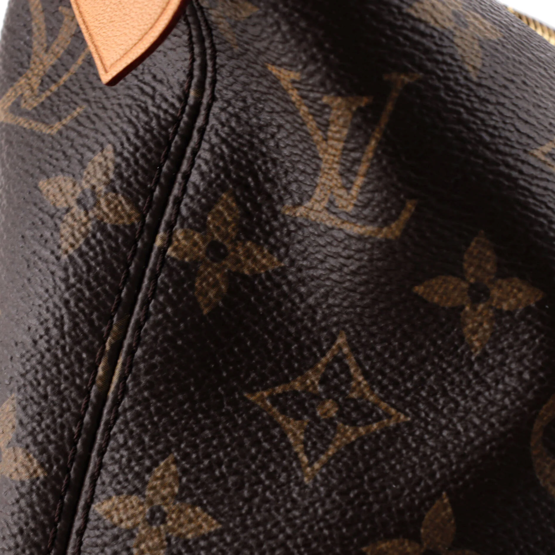 Iena Tote Monogram Canvas PM - Image 6