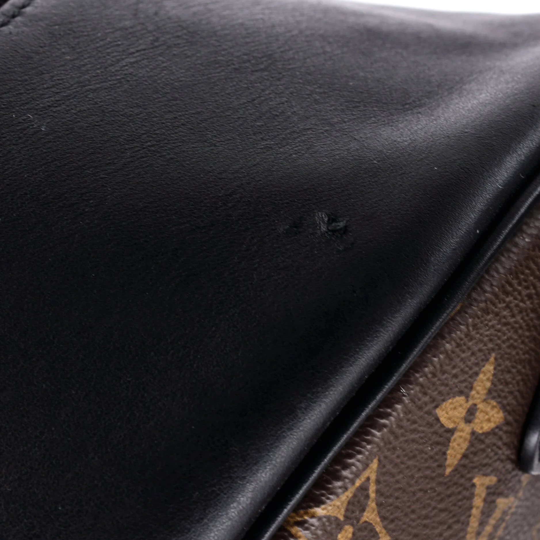 Josh Backpack Macassar Monogram Canvas - Image 7